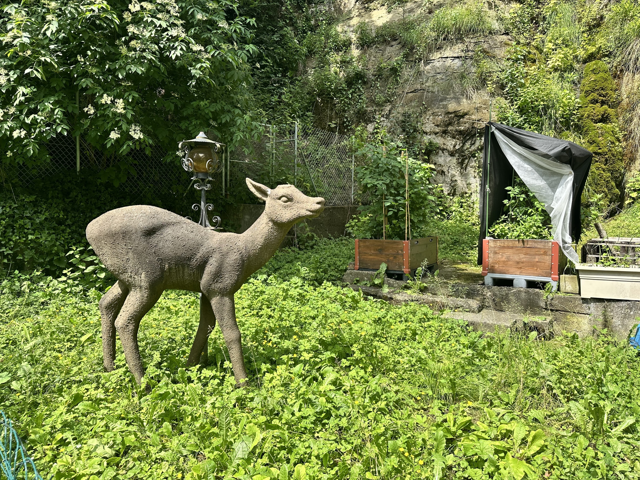 jardin à disposition pour tous les copropriétaires jardin à disposition pour tous les copropriétaires