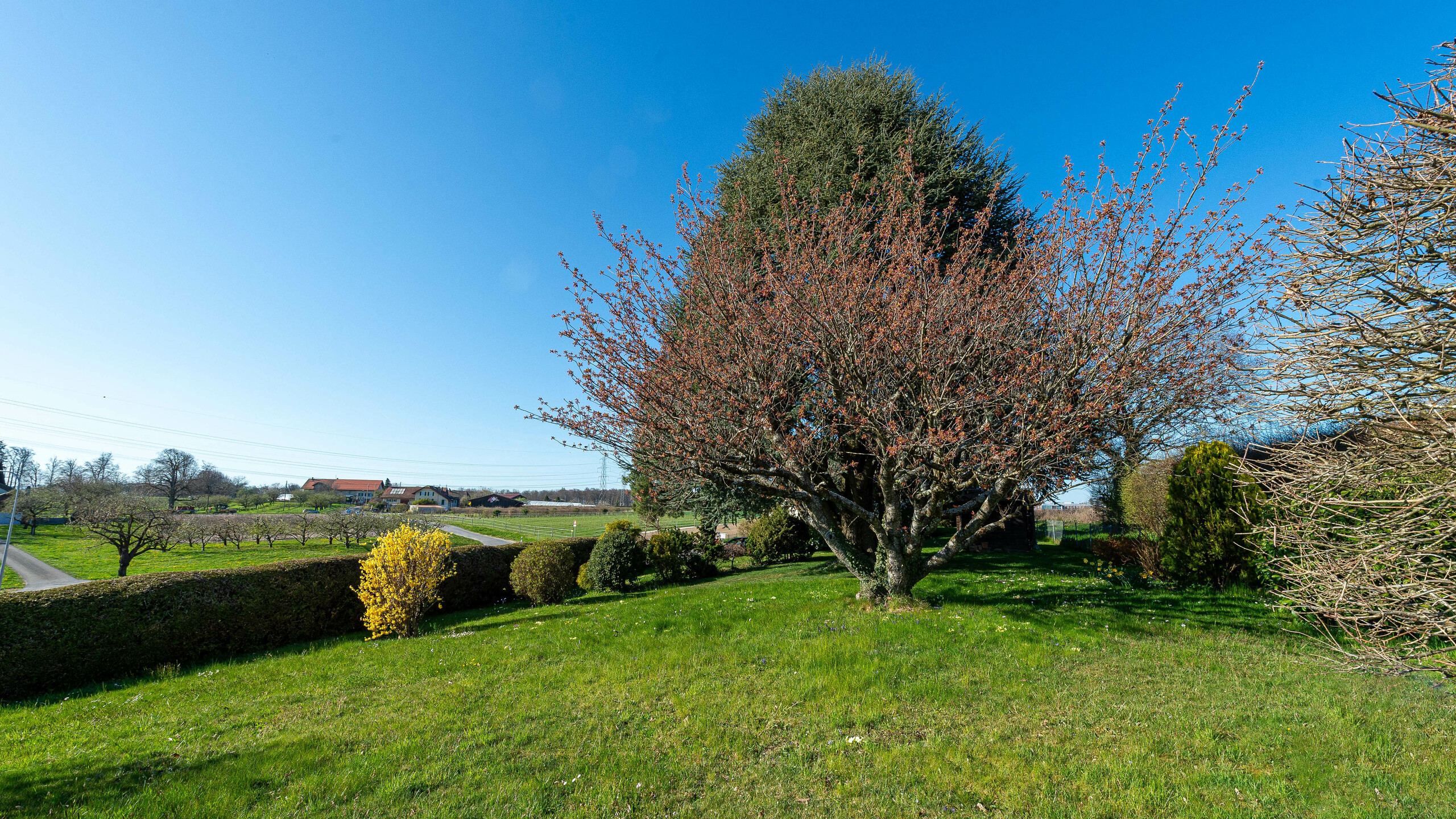 Vue extérieure 2