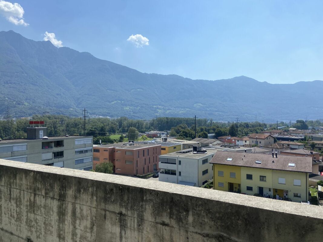 Immagine di copertina