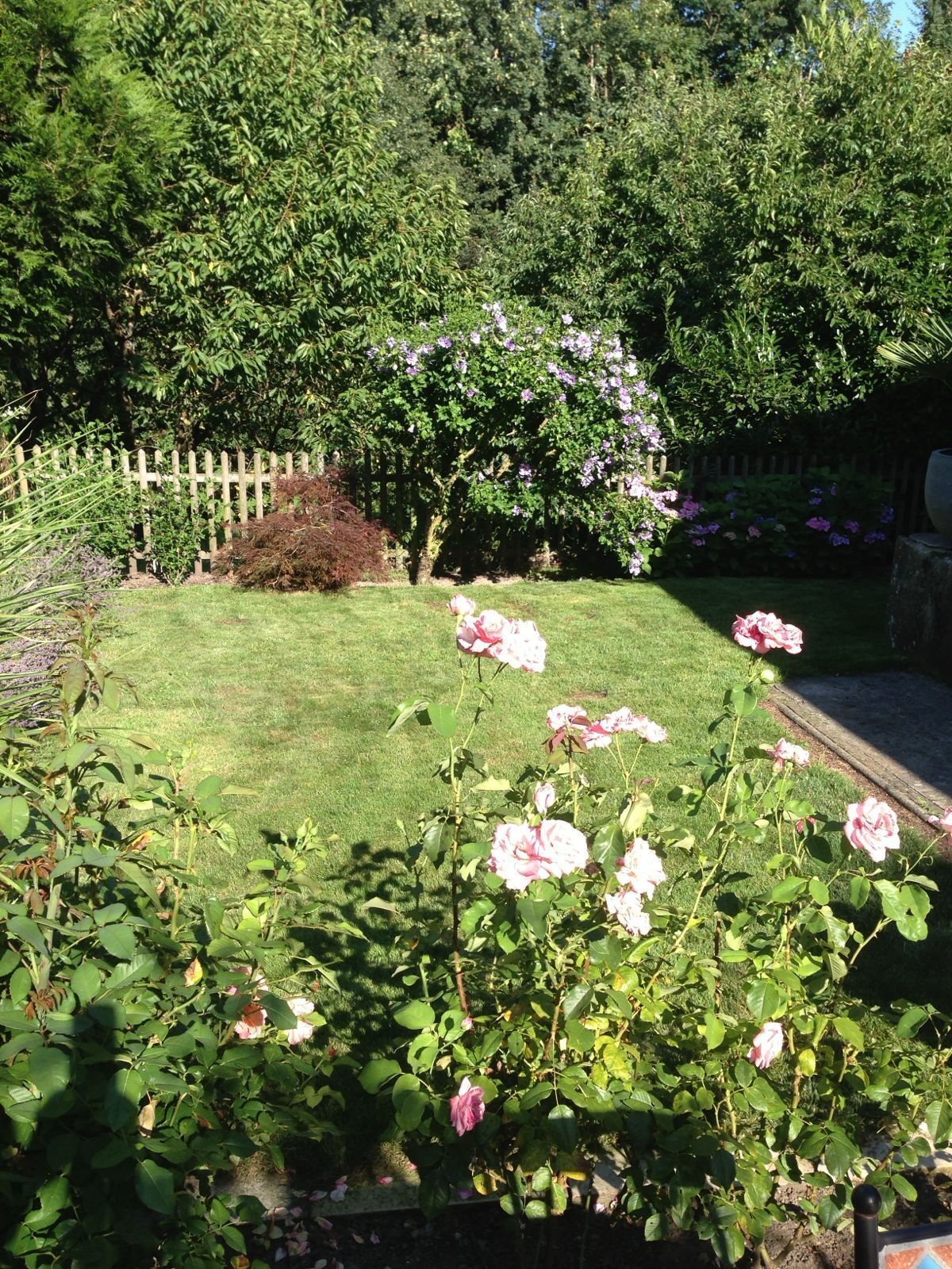 Photo 5