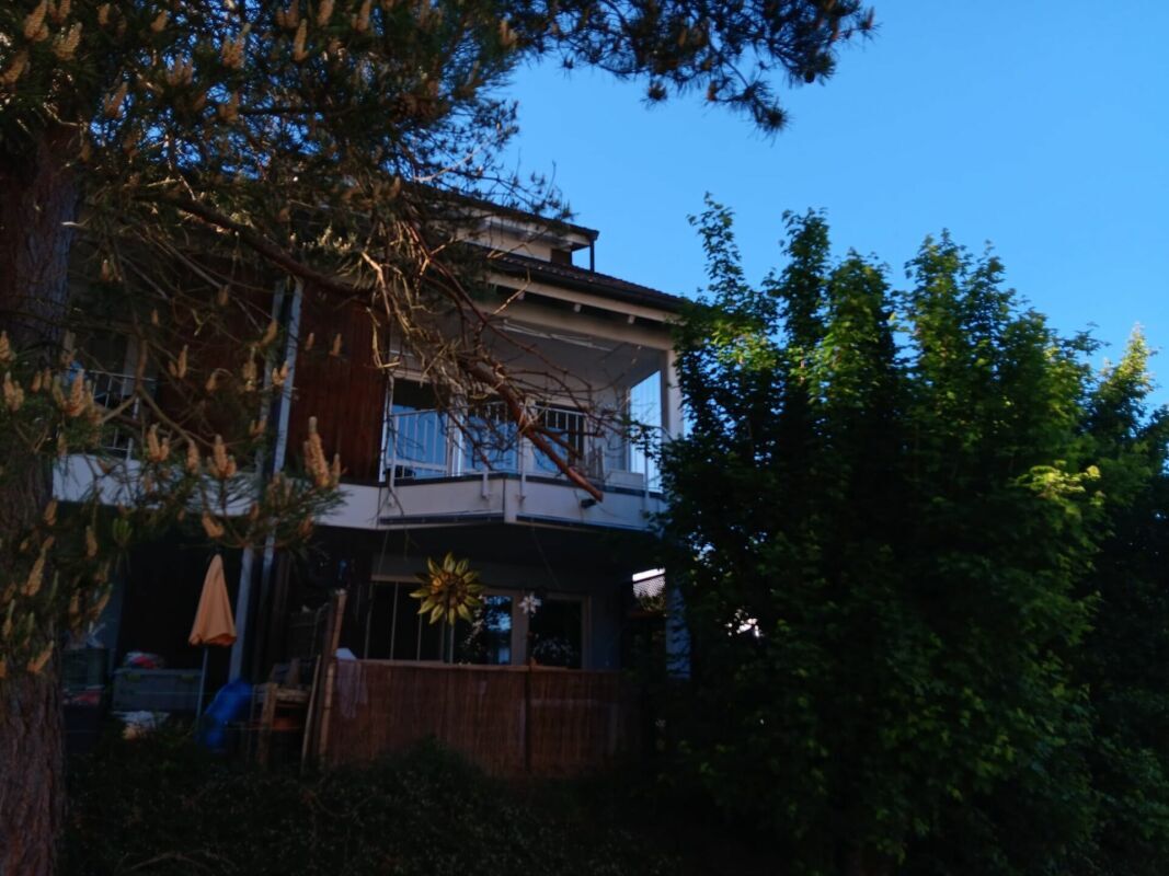 Photo 19