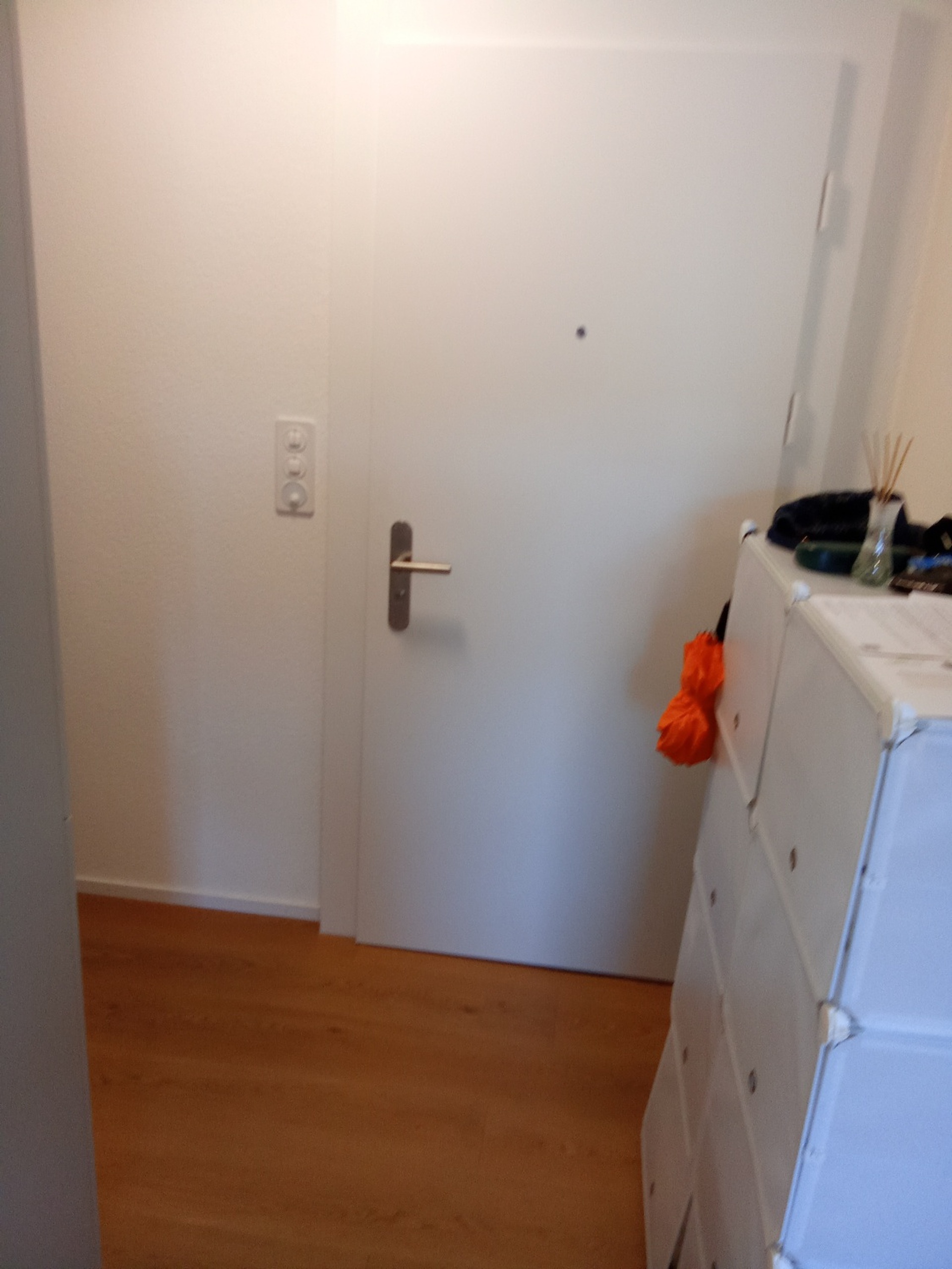 Picture 1