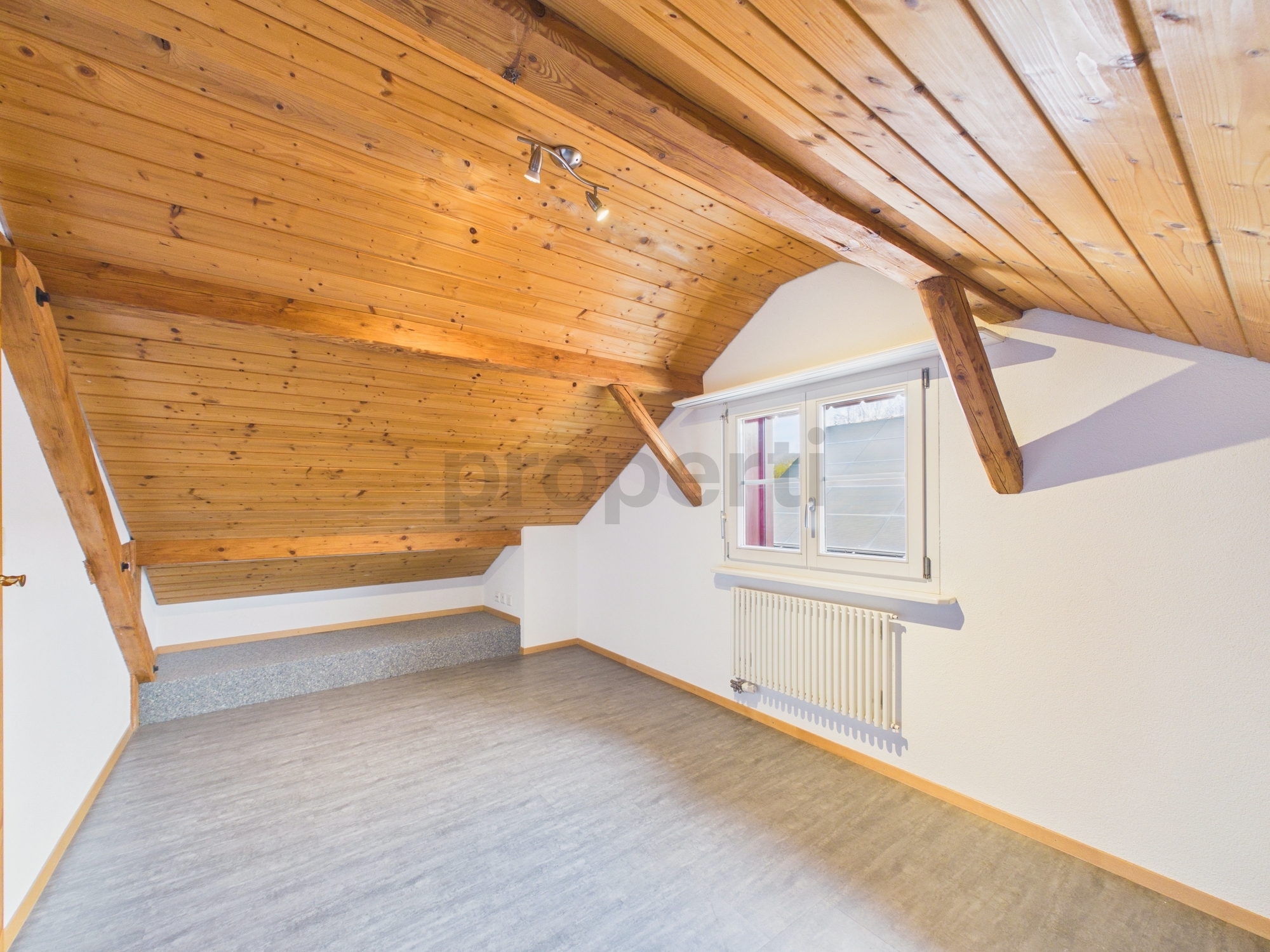 Picture 7