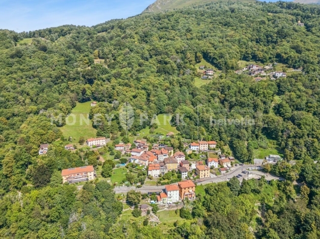Immagine di copertina