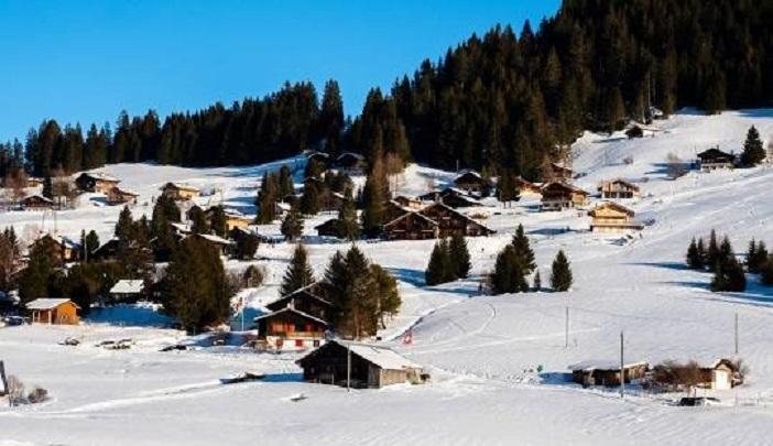 Immagine di copertina