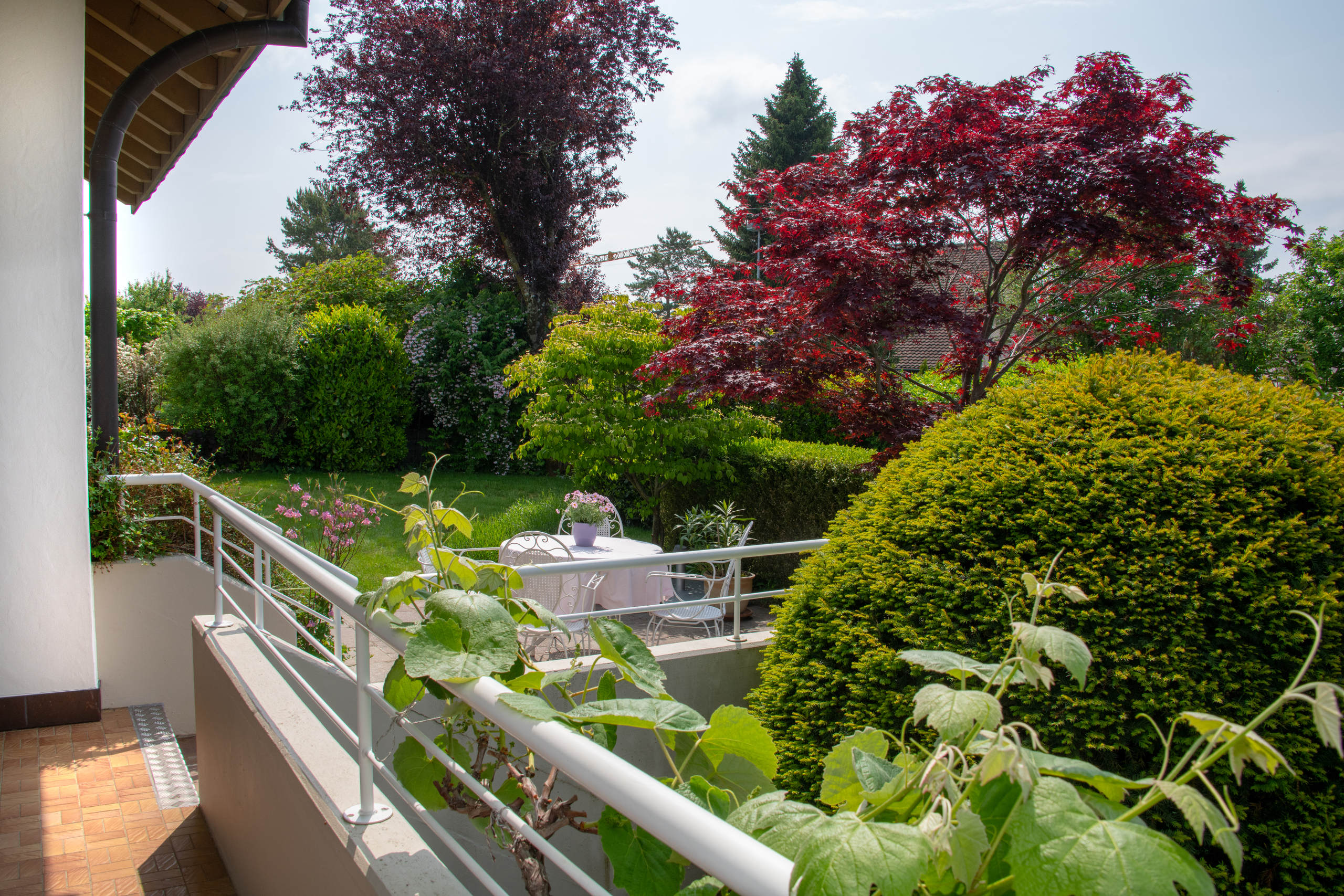 Der schön angelegte Garten Der schön angelegte Garten