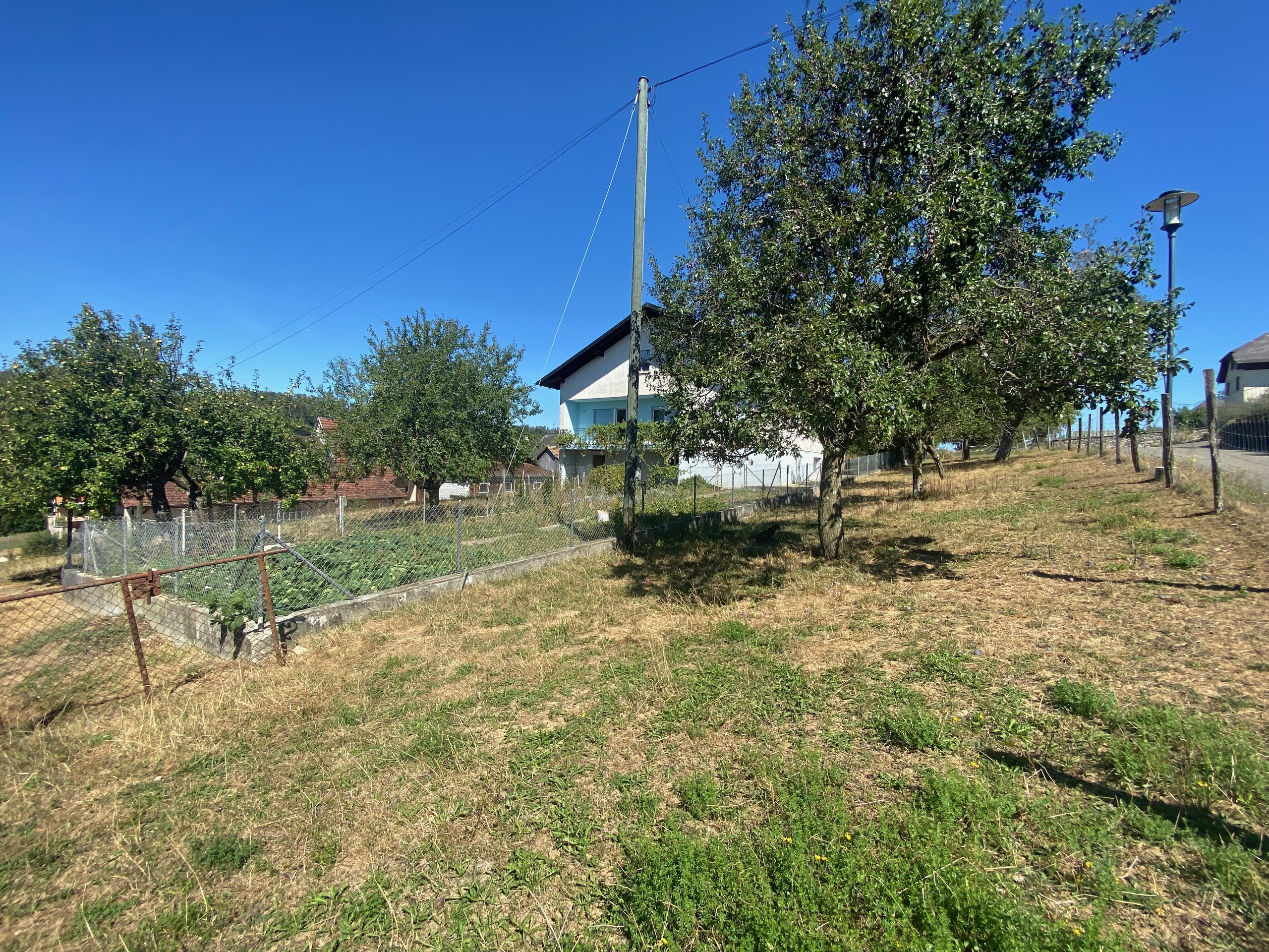 Photo 35