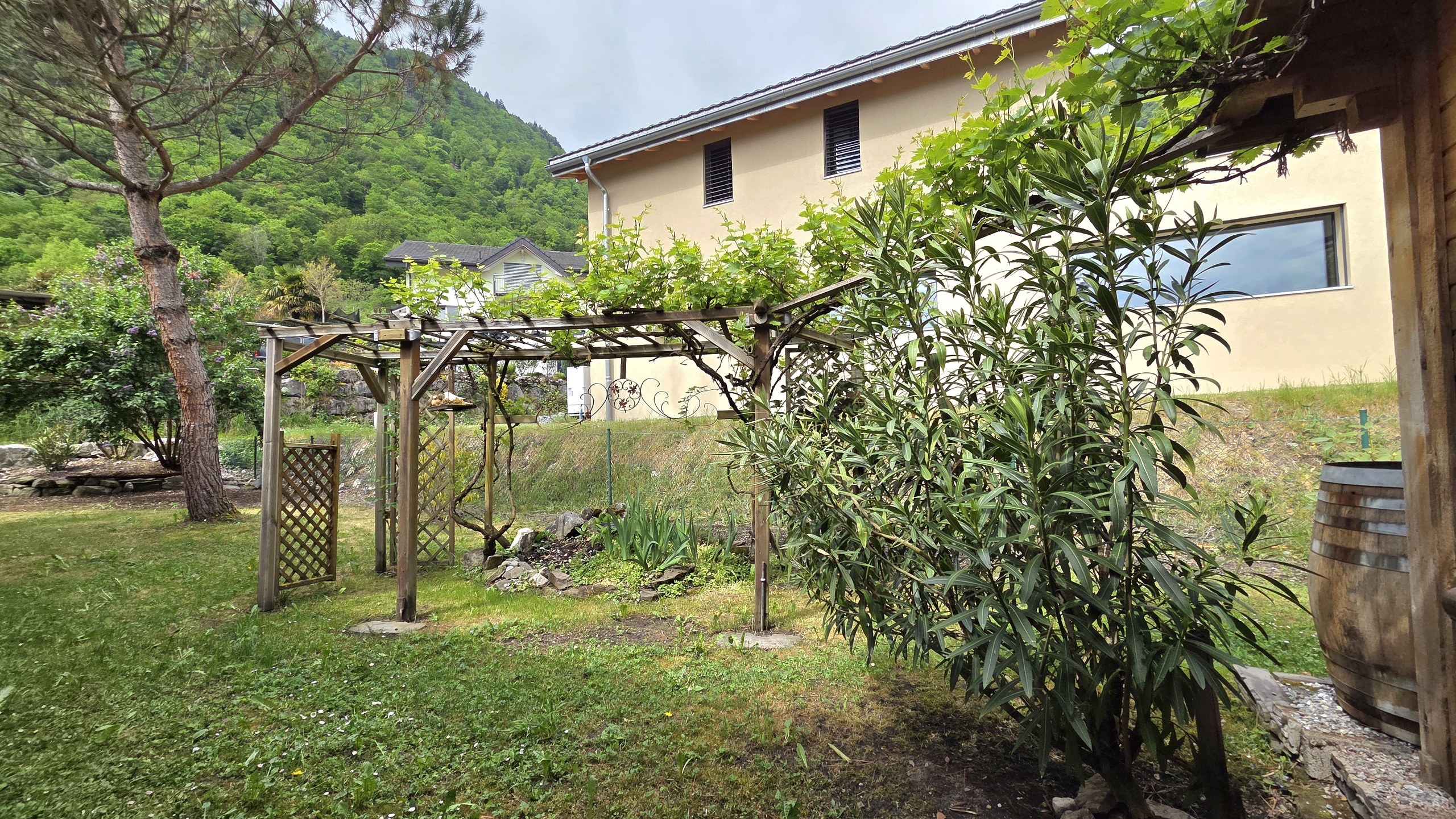 Jardin 3