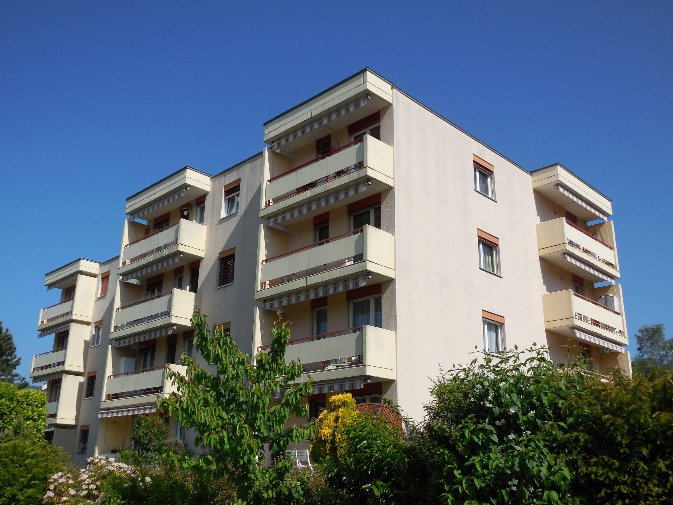 Firstview