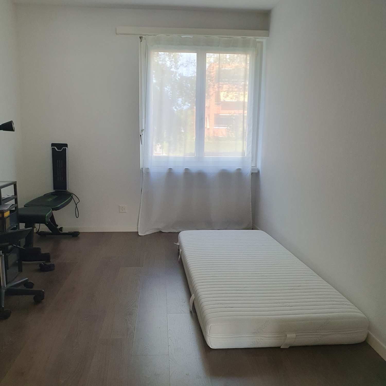 Photo 6