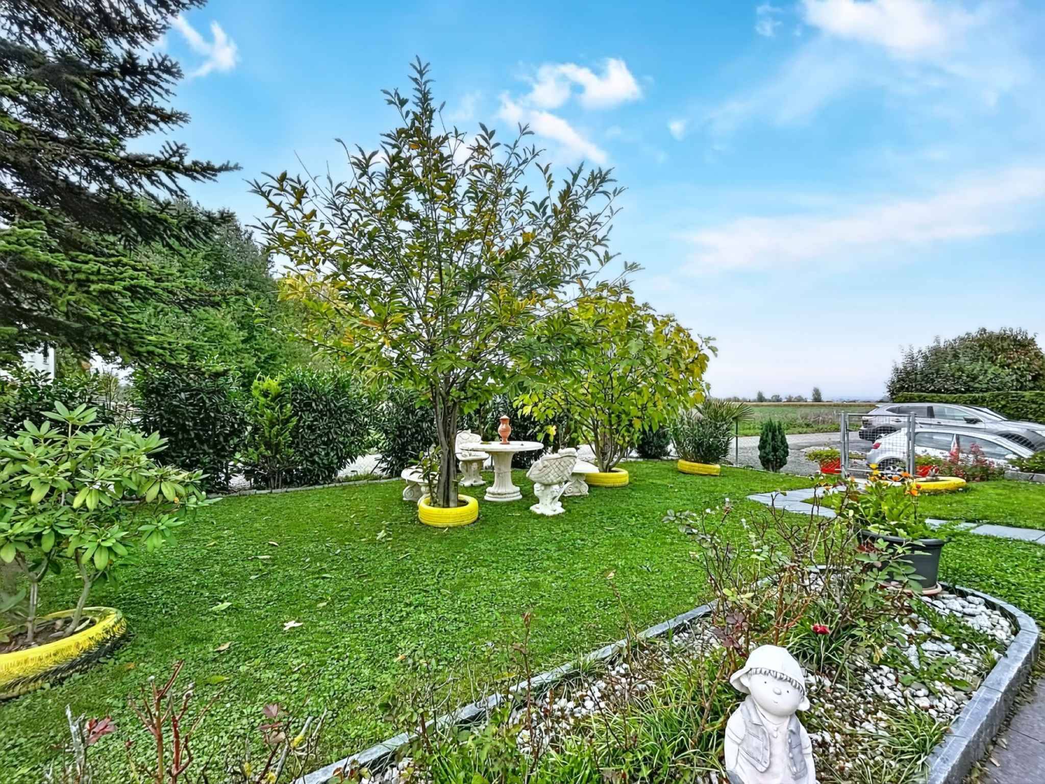 Immagine di copertina 2