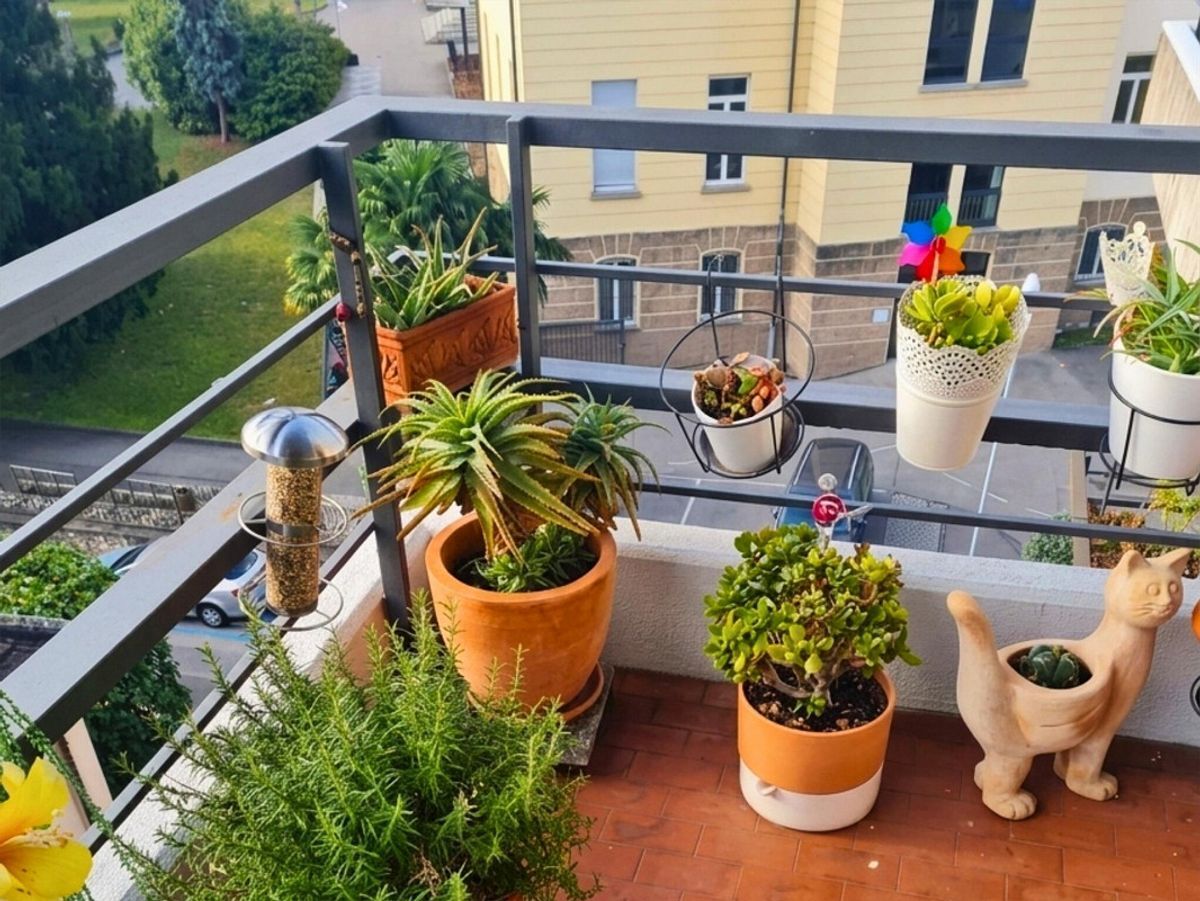 Foto 11