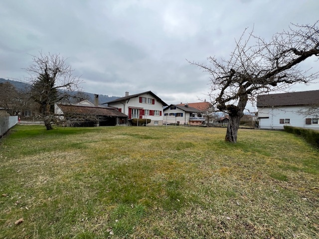 Grand terrain Grand terrain