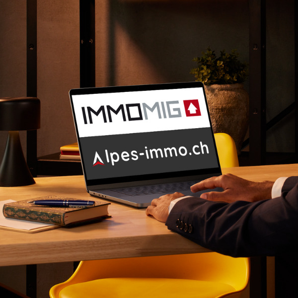 New birdge to Alpes-immo.ch