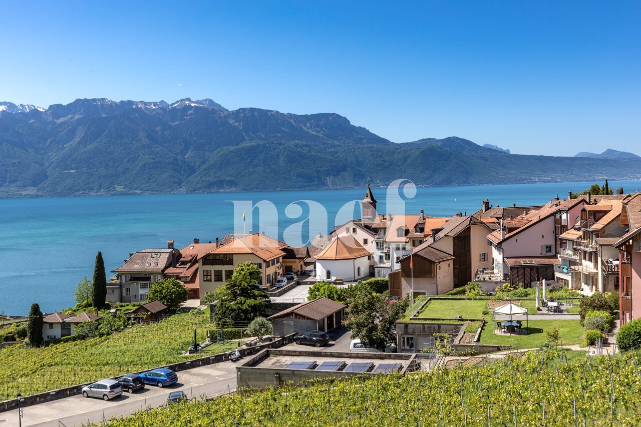 Premier coup d'oeil 1