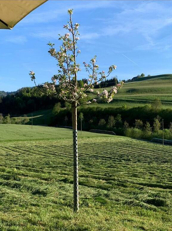 Aussicht vom Sitzplatz Aussicht vom Sitzplatz