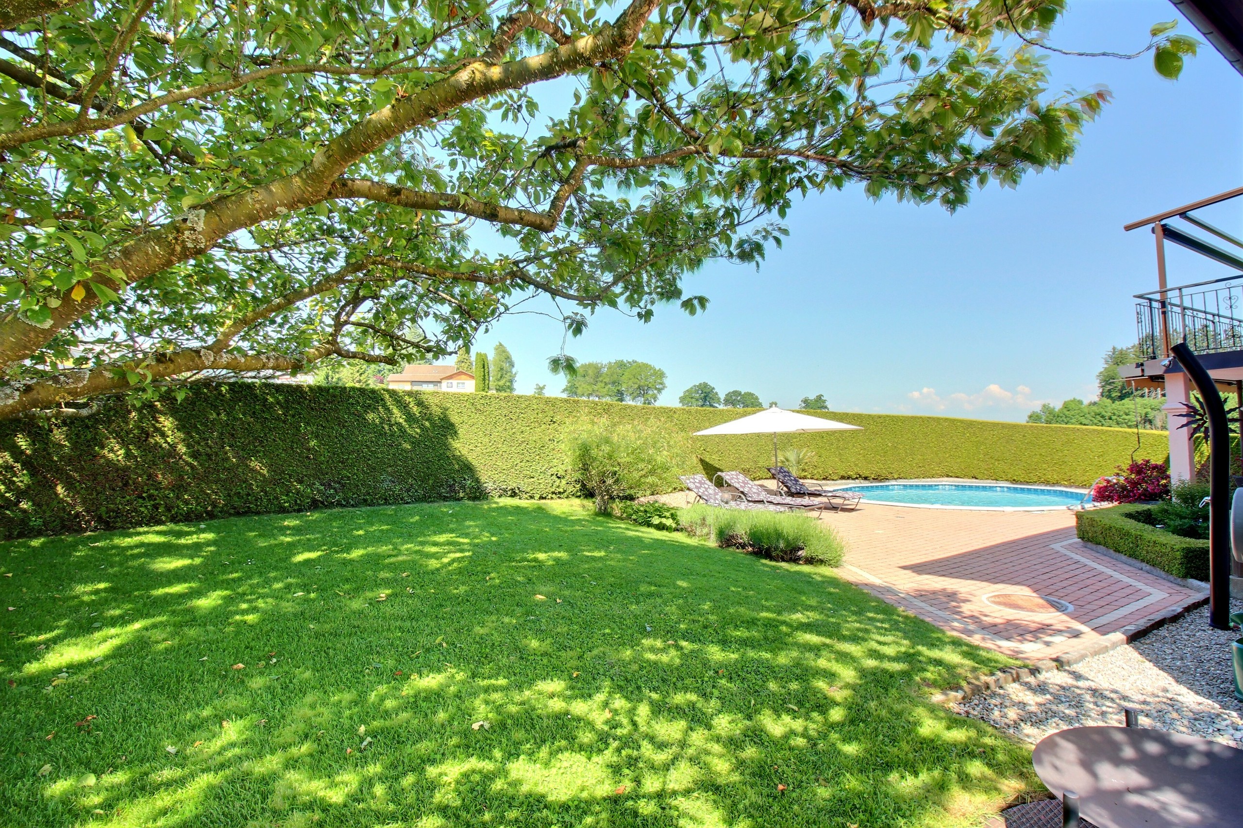 Jardin 1