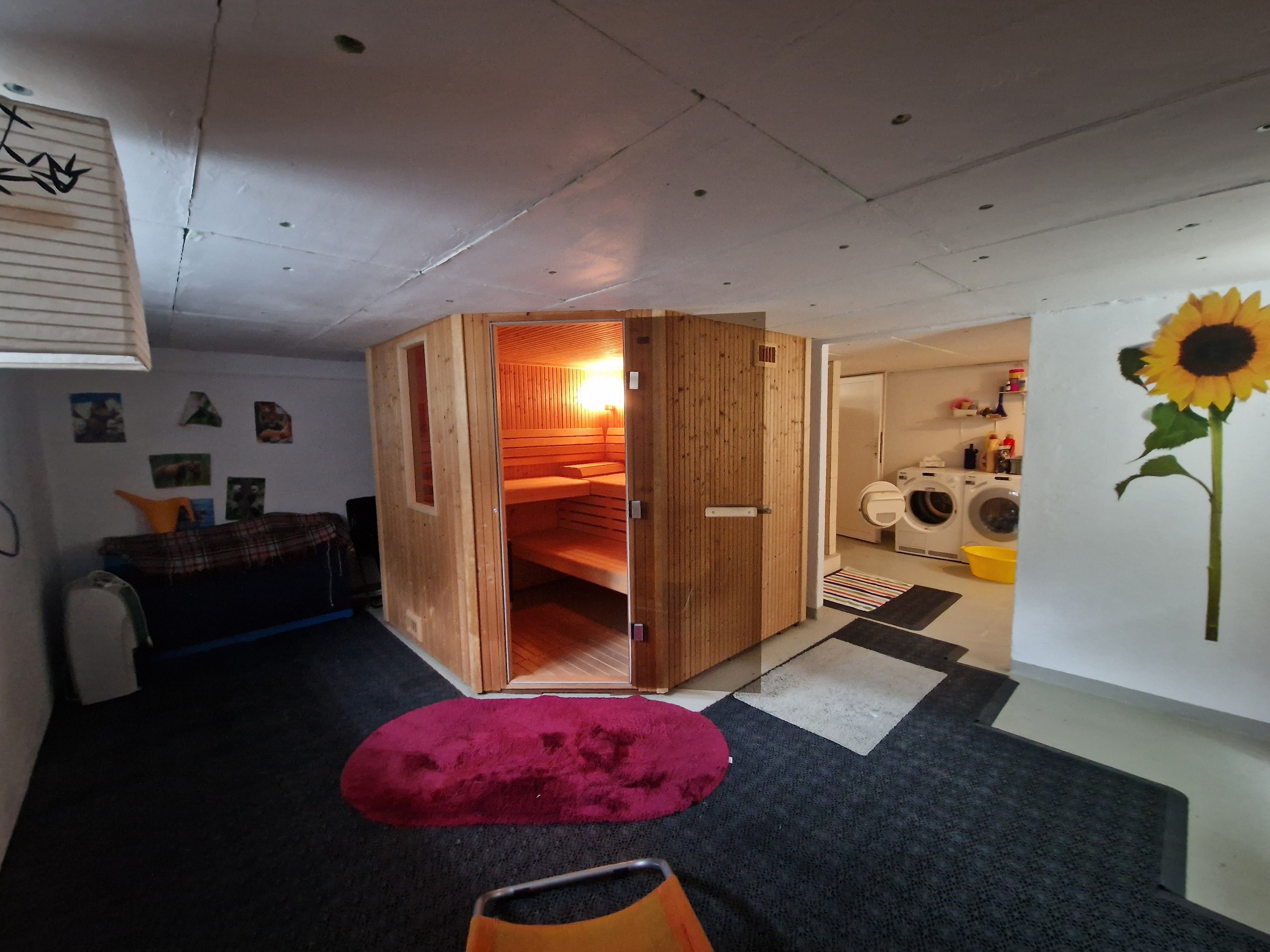 Photo 5
