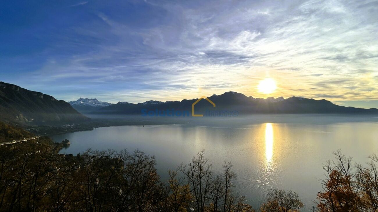 Immagine di copertina 1