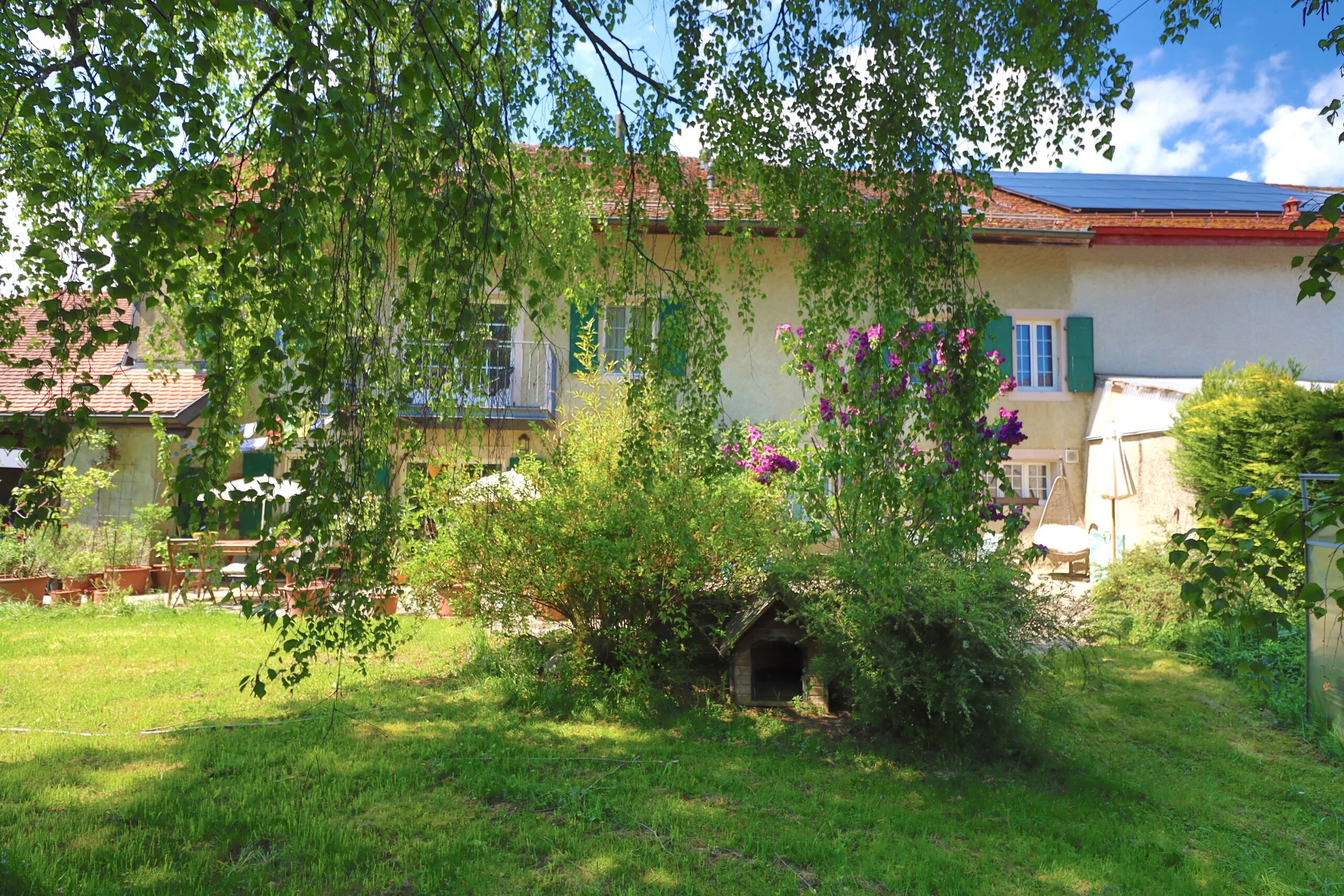 Photo 18