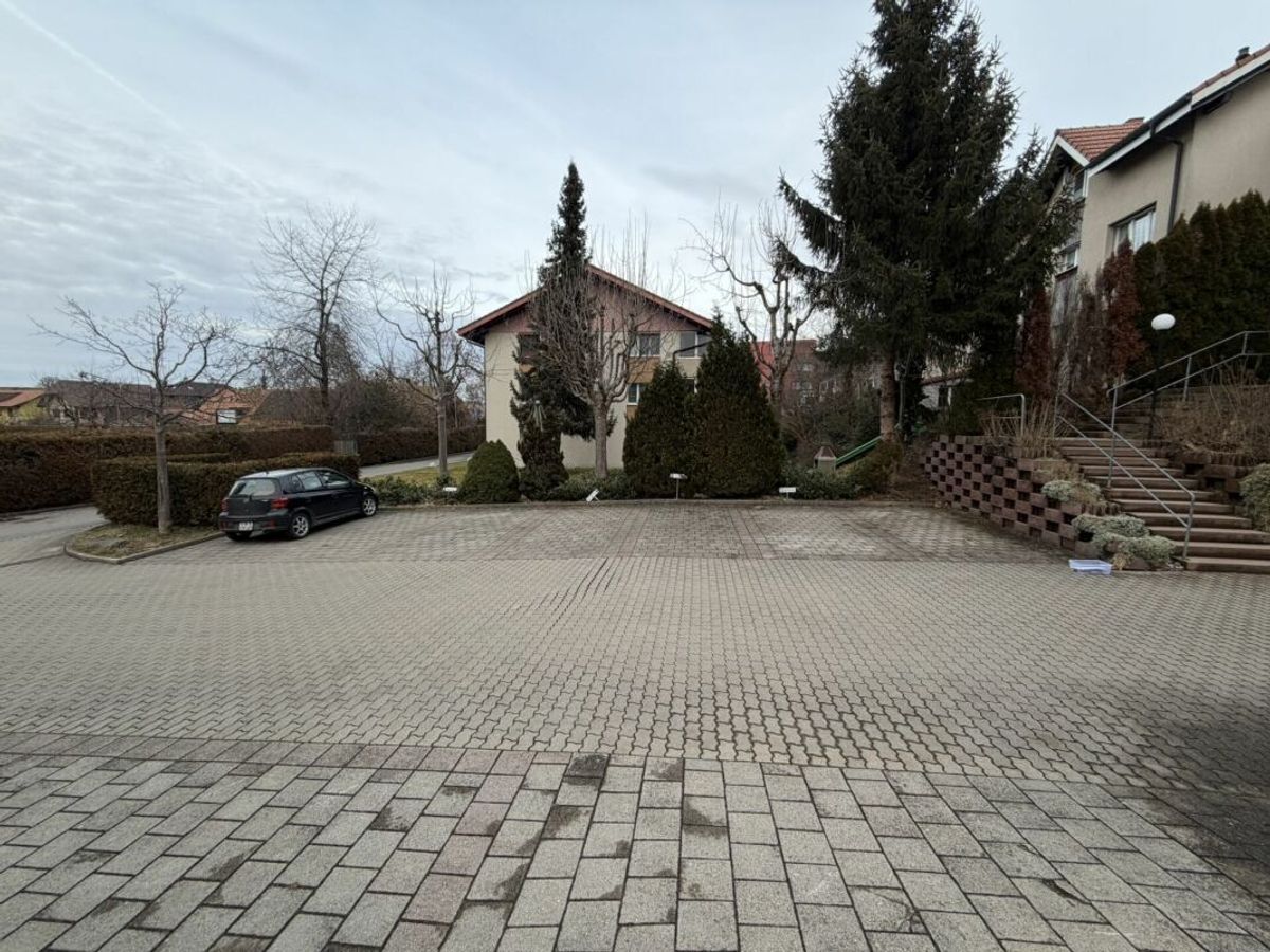 Picture 7
