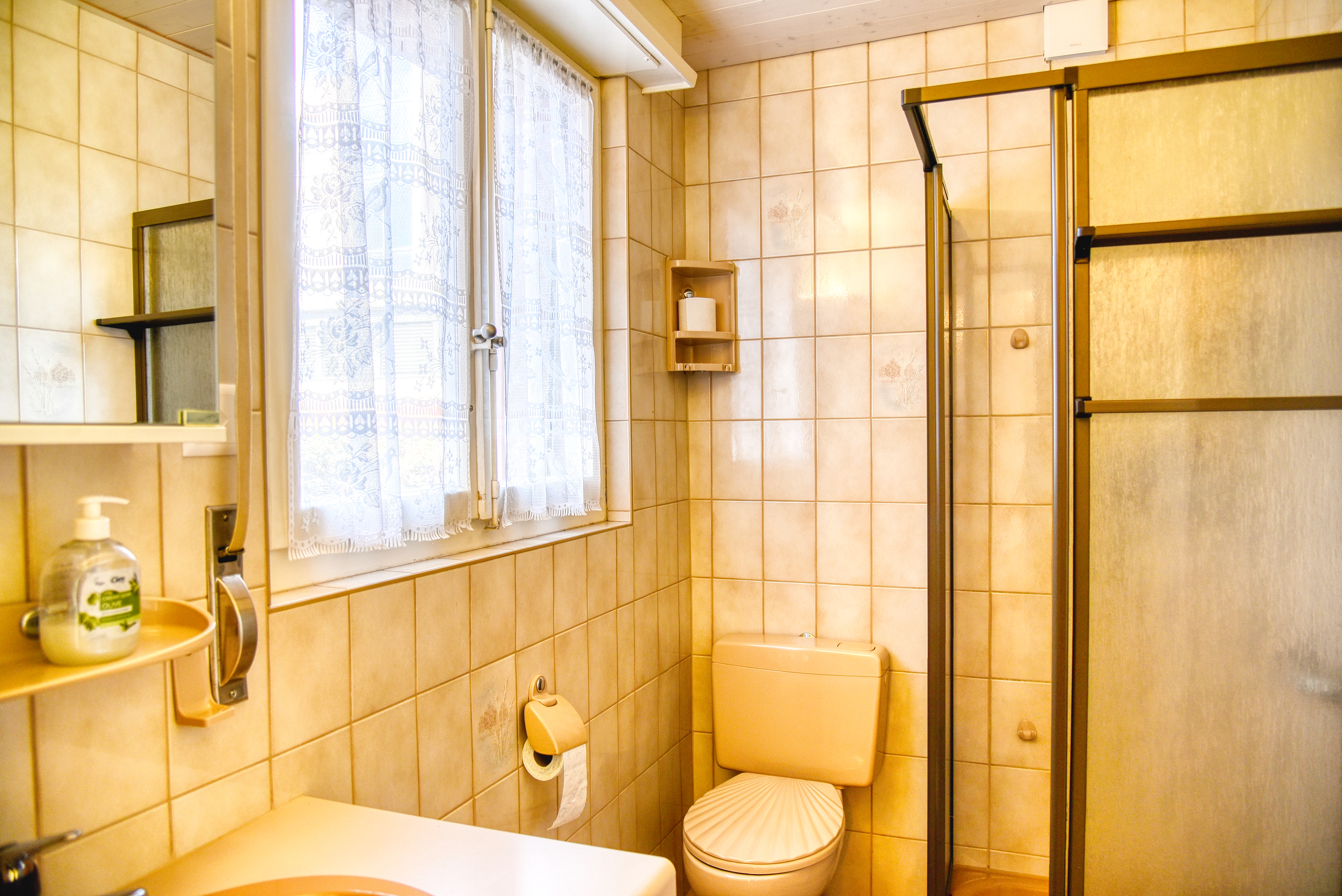 Appartement Sierre - Salle de douche