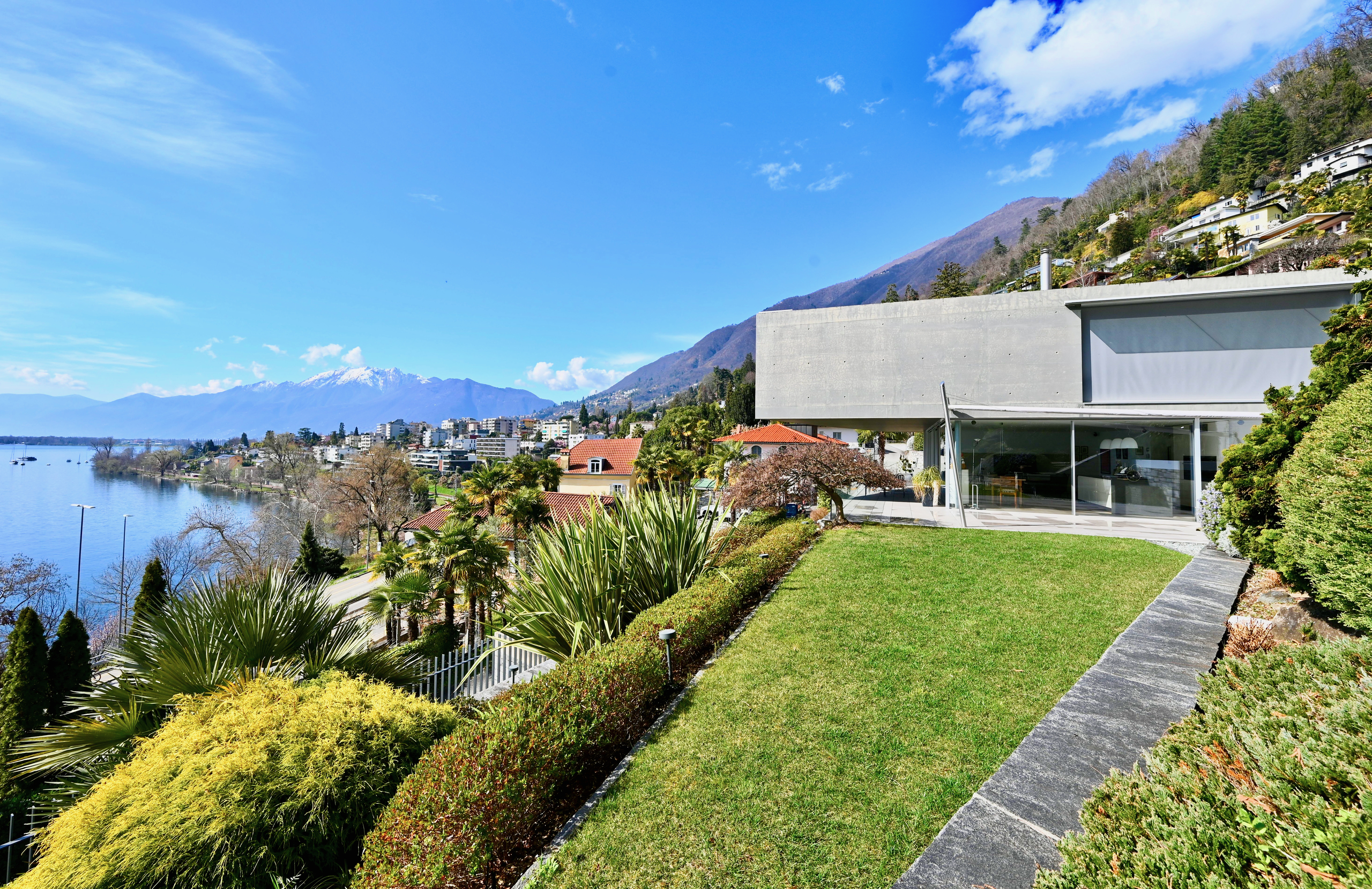 Immagine di copertina