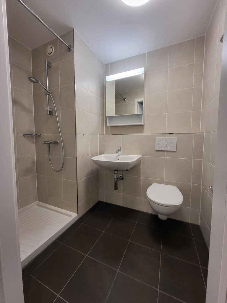 Appartement de 1.5 pièces en location à Fribourg - 31 m²