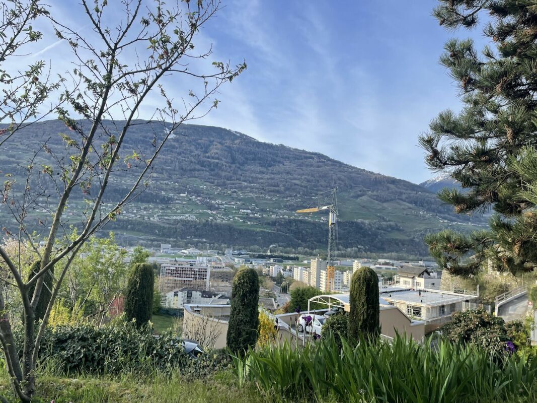 Photo 8