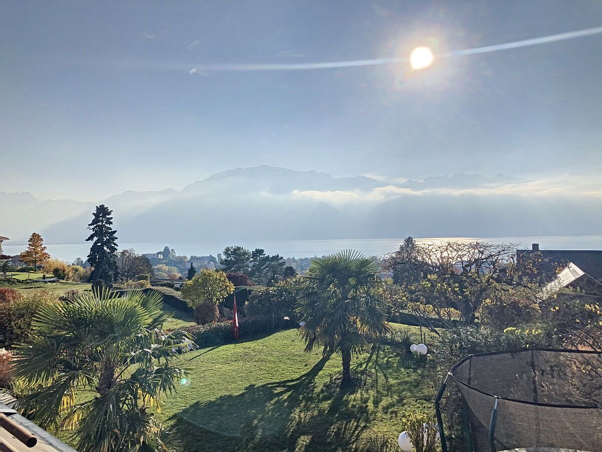 Immagine di copertina 2