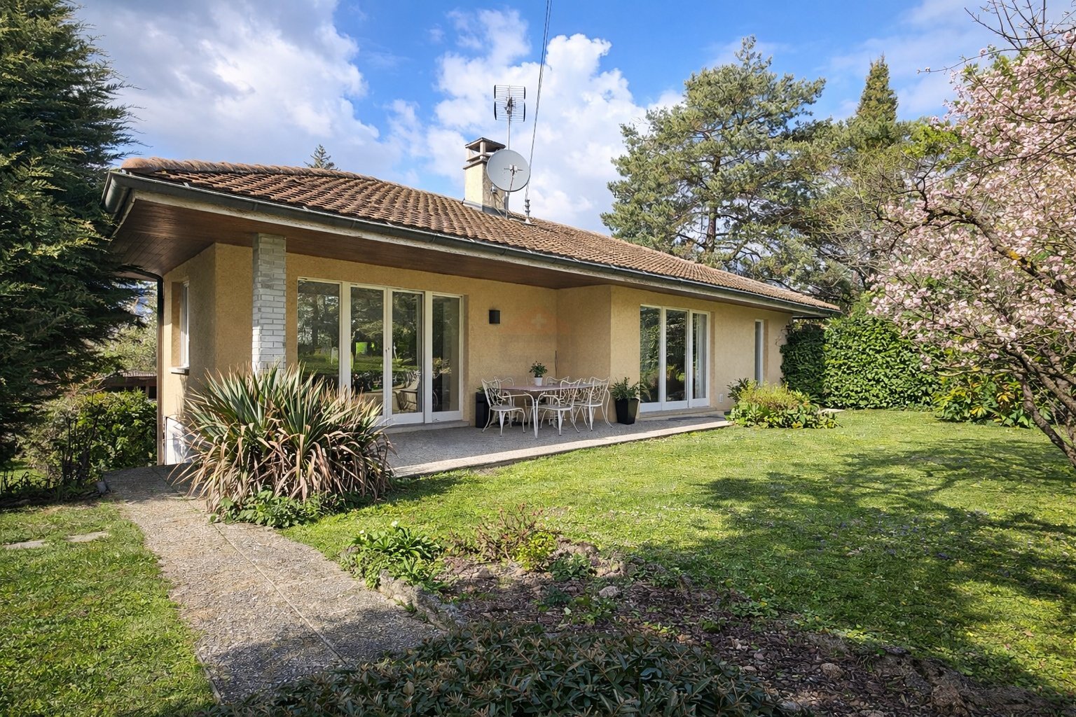 Premier coup d'oeil 1