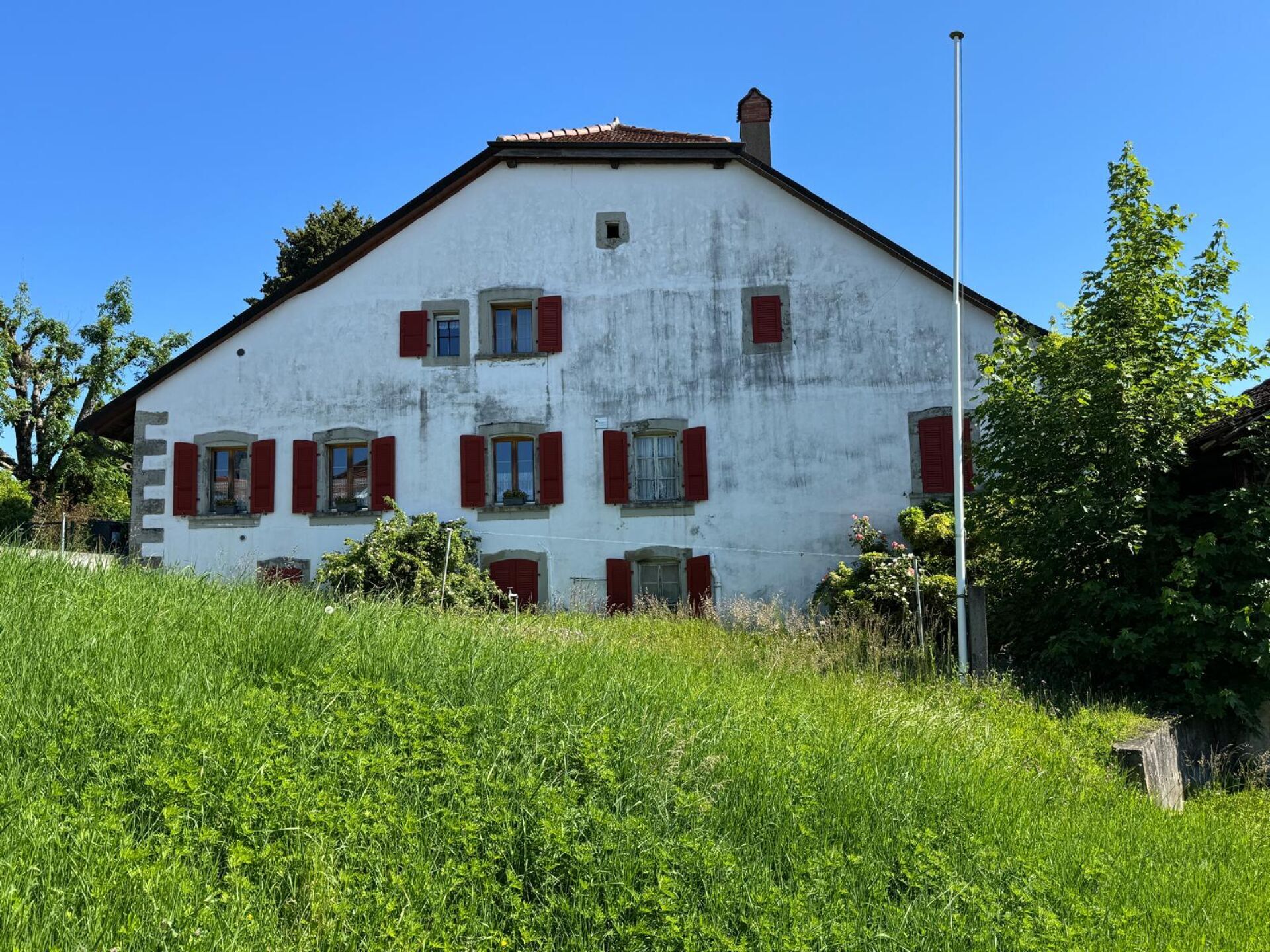 Photo 7