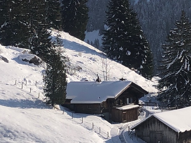 Premier coup d'oeil