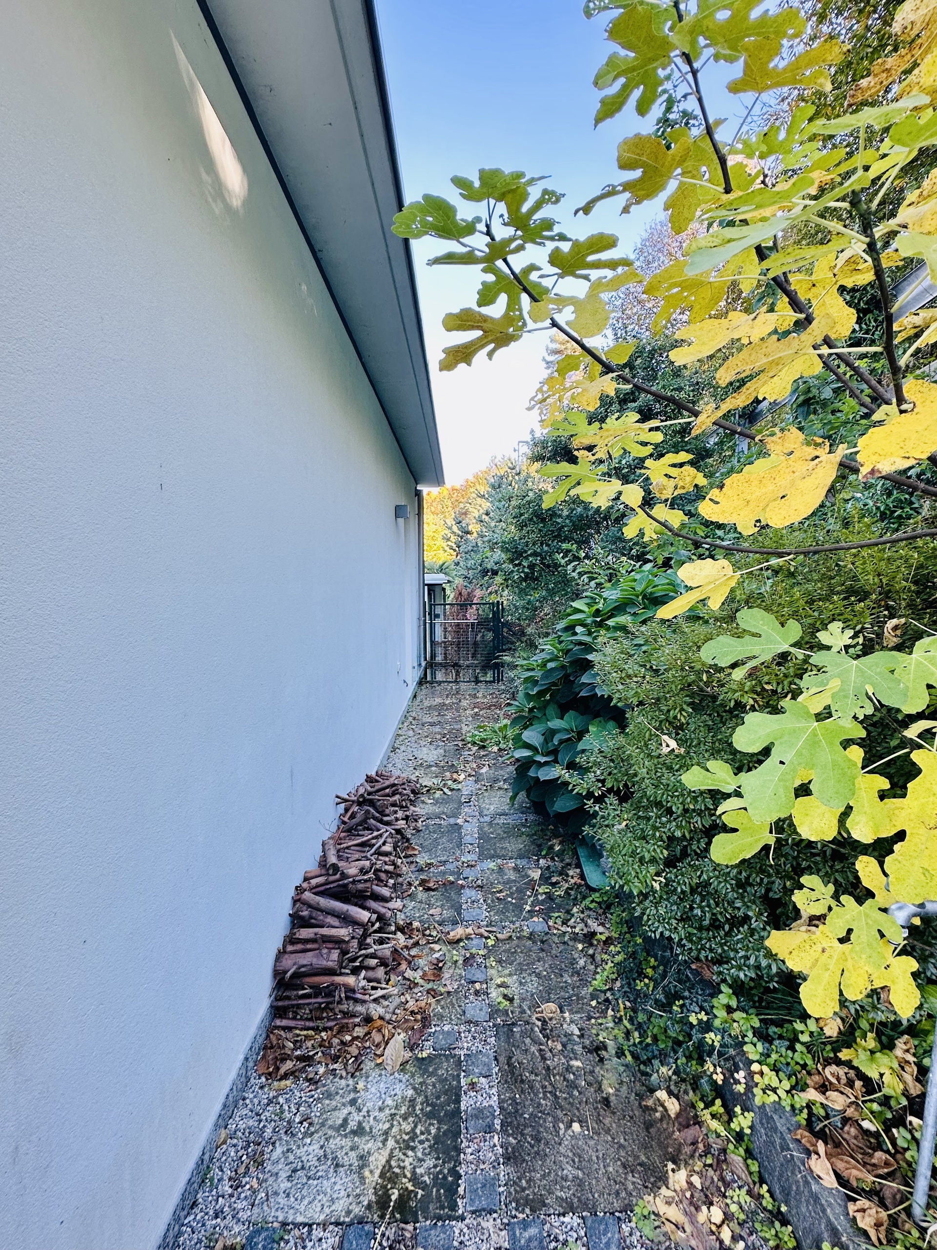 Der separate obere Zugang zur Liegenschaft auf der Rückseite des Hauses