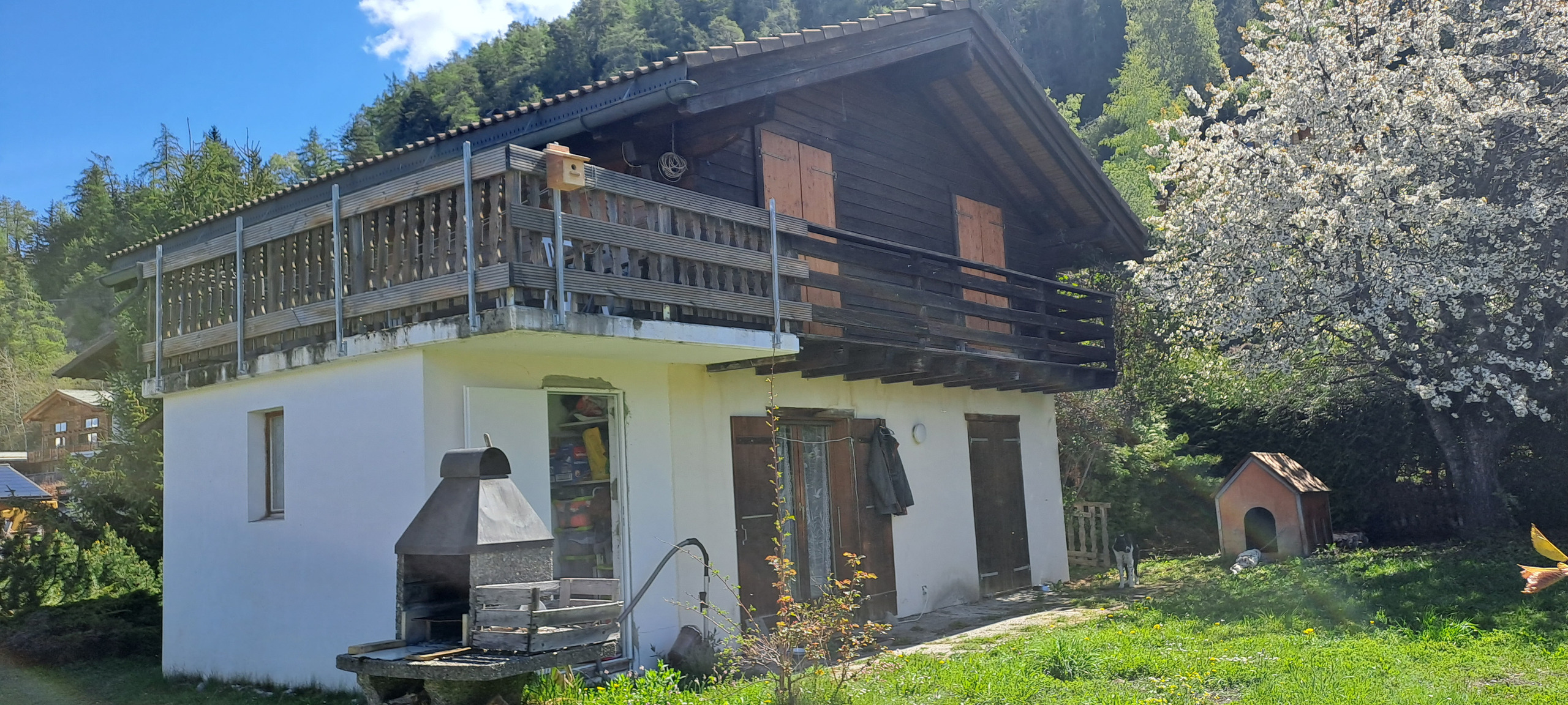 Photo 1