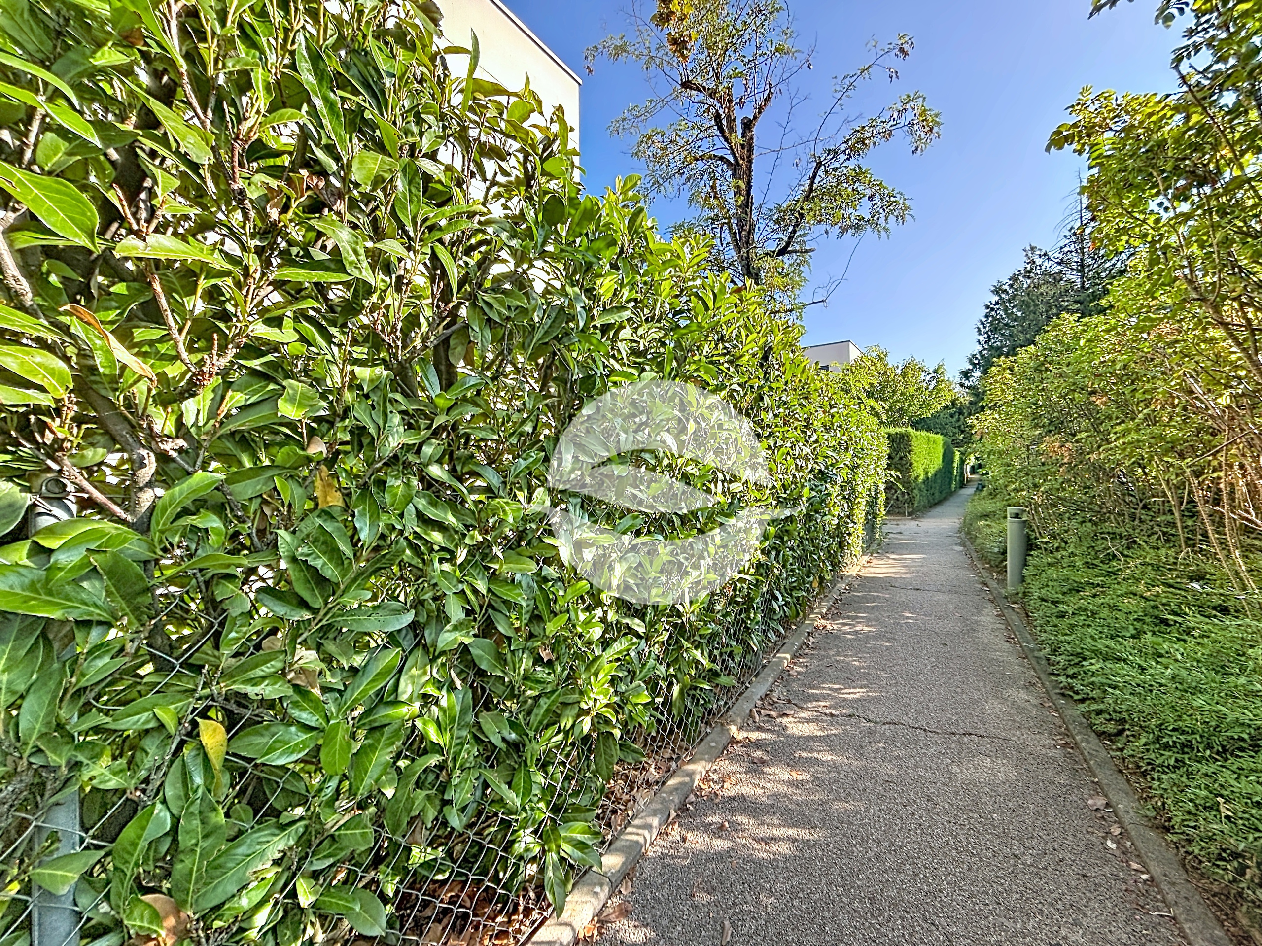 Allée de la résidence Allée de la résidence