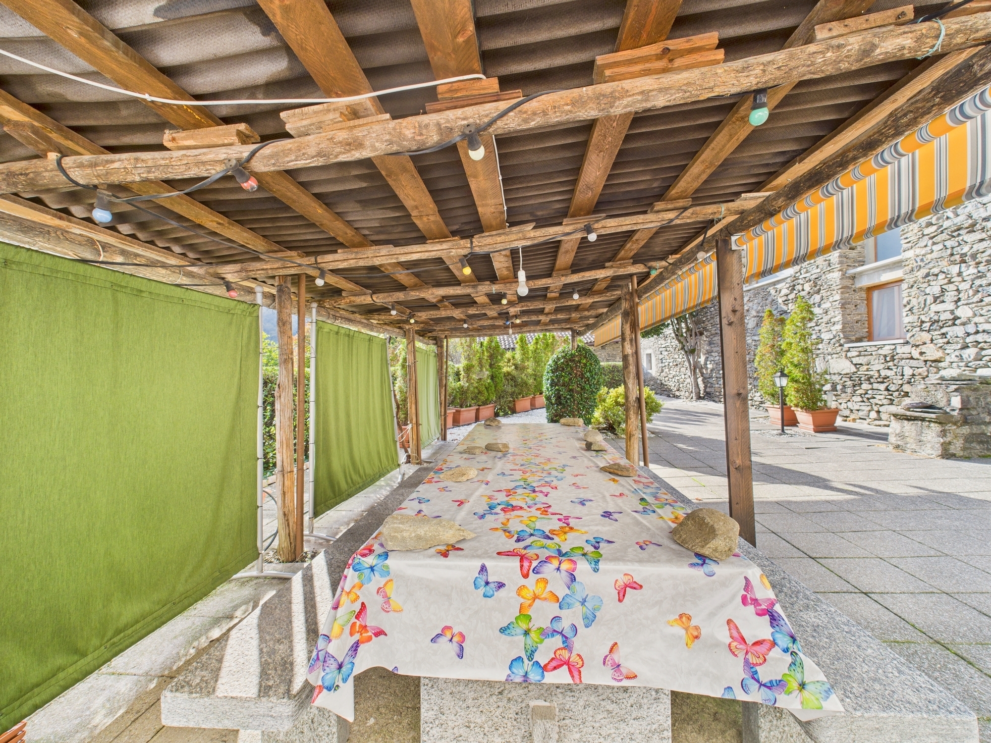 Photo 4