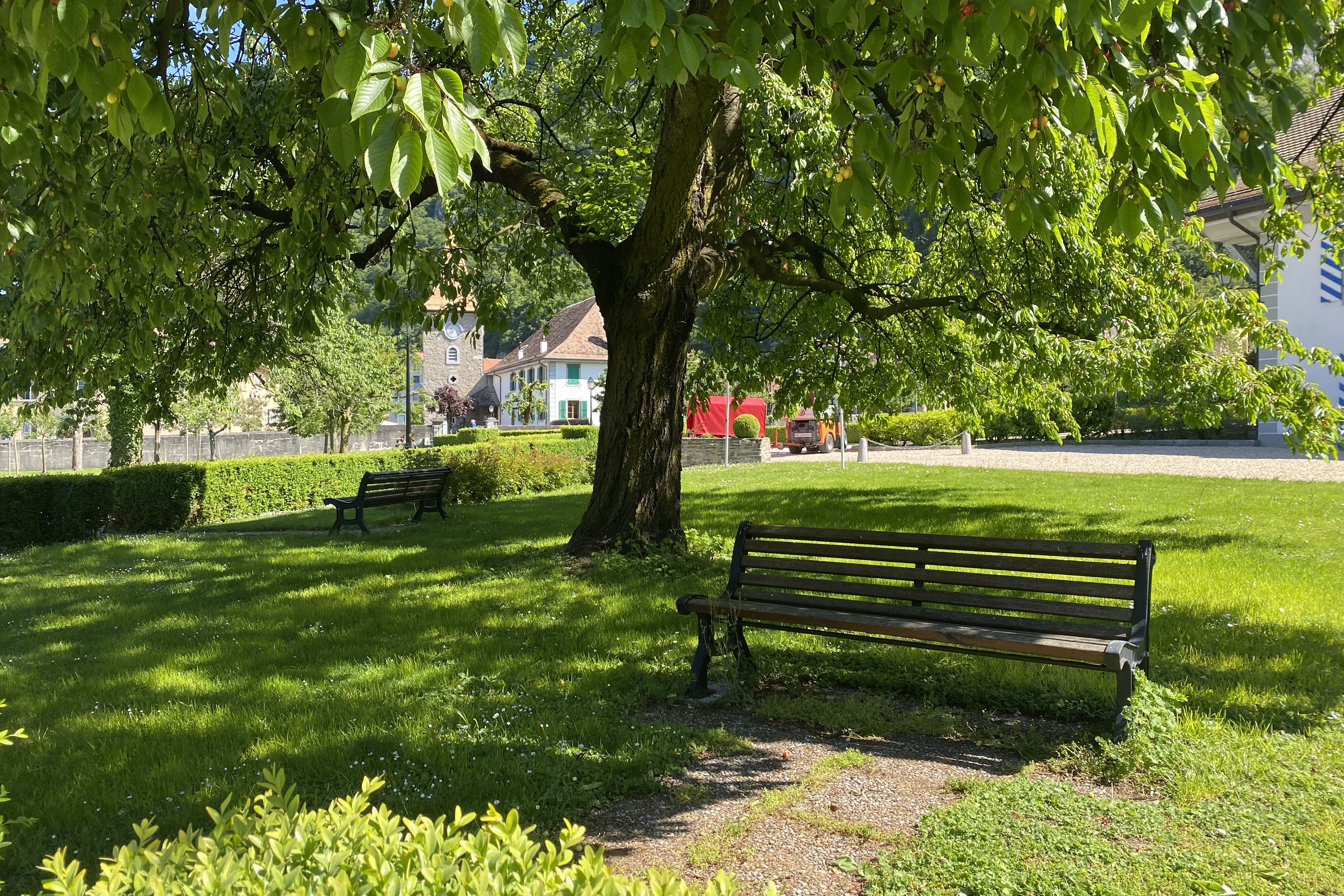Parc communal de Roche