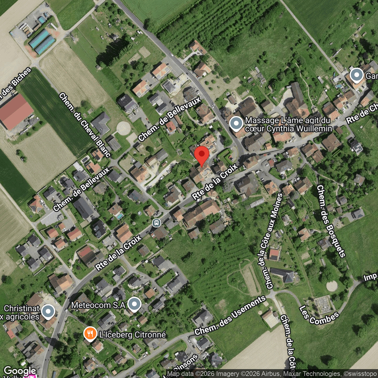 Piantina