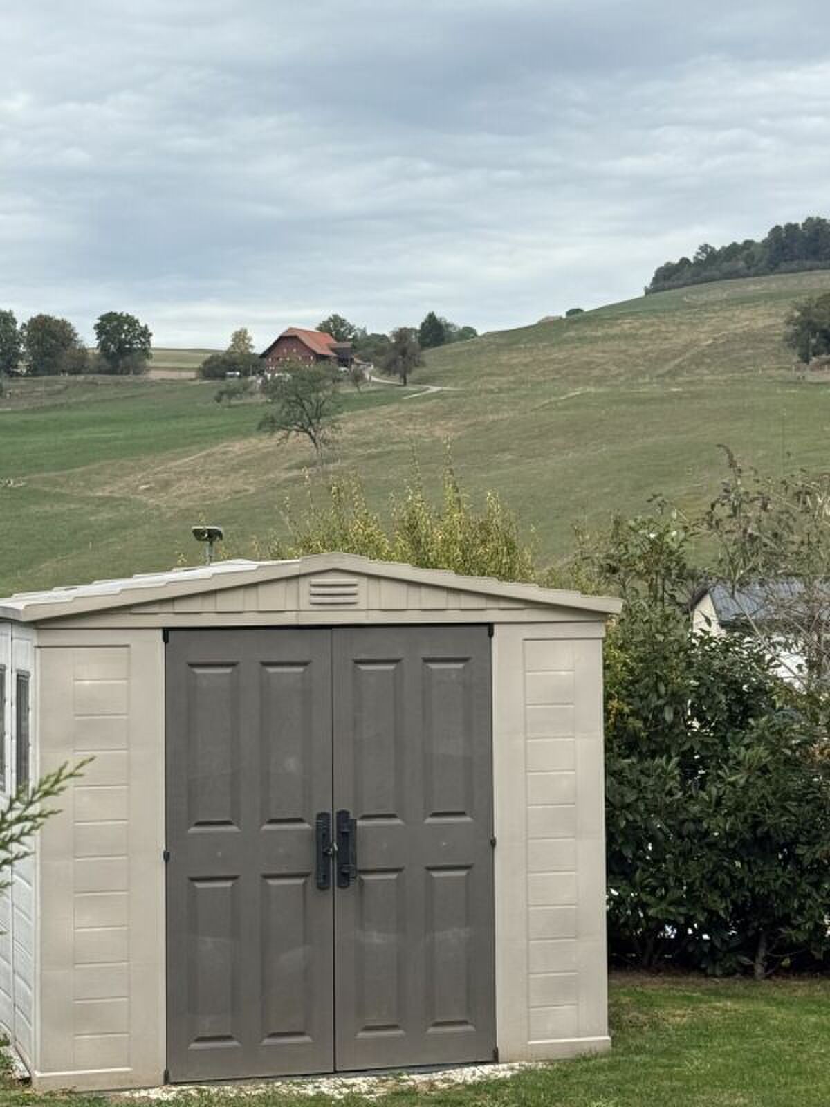 Picture 14