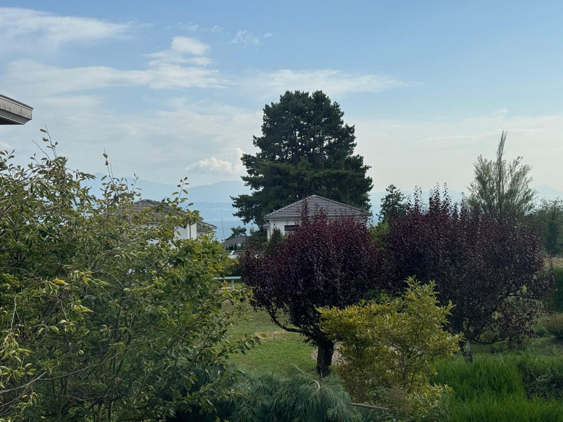 Premier coup d'oeil 2