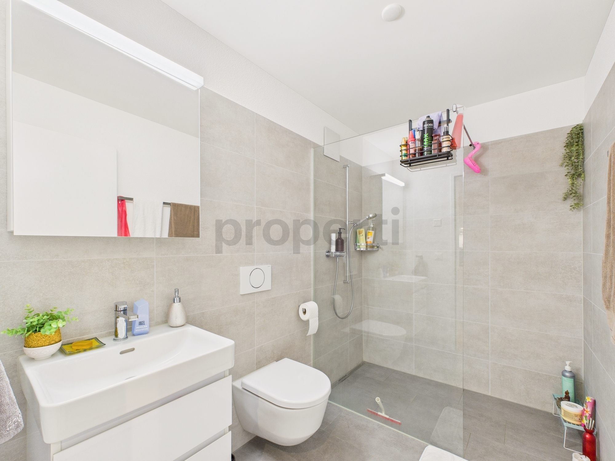 Picture 5