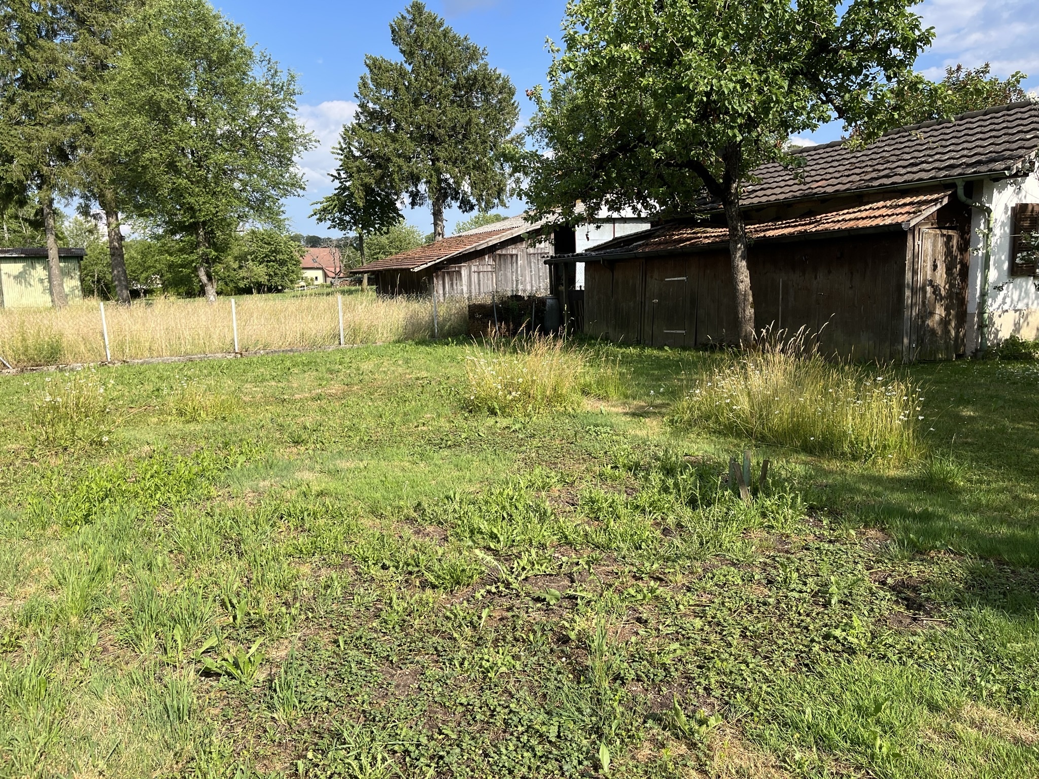 Green space / vegetable garden Green space / vegetable garden