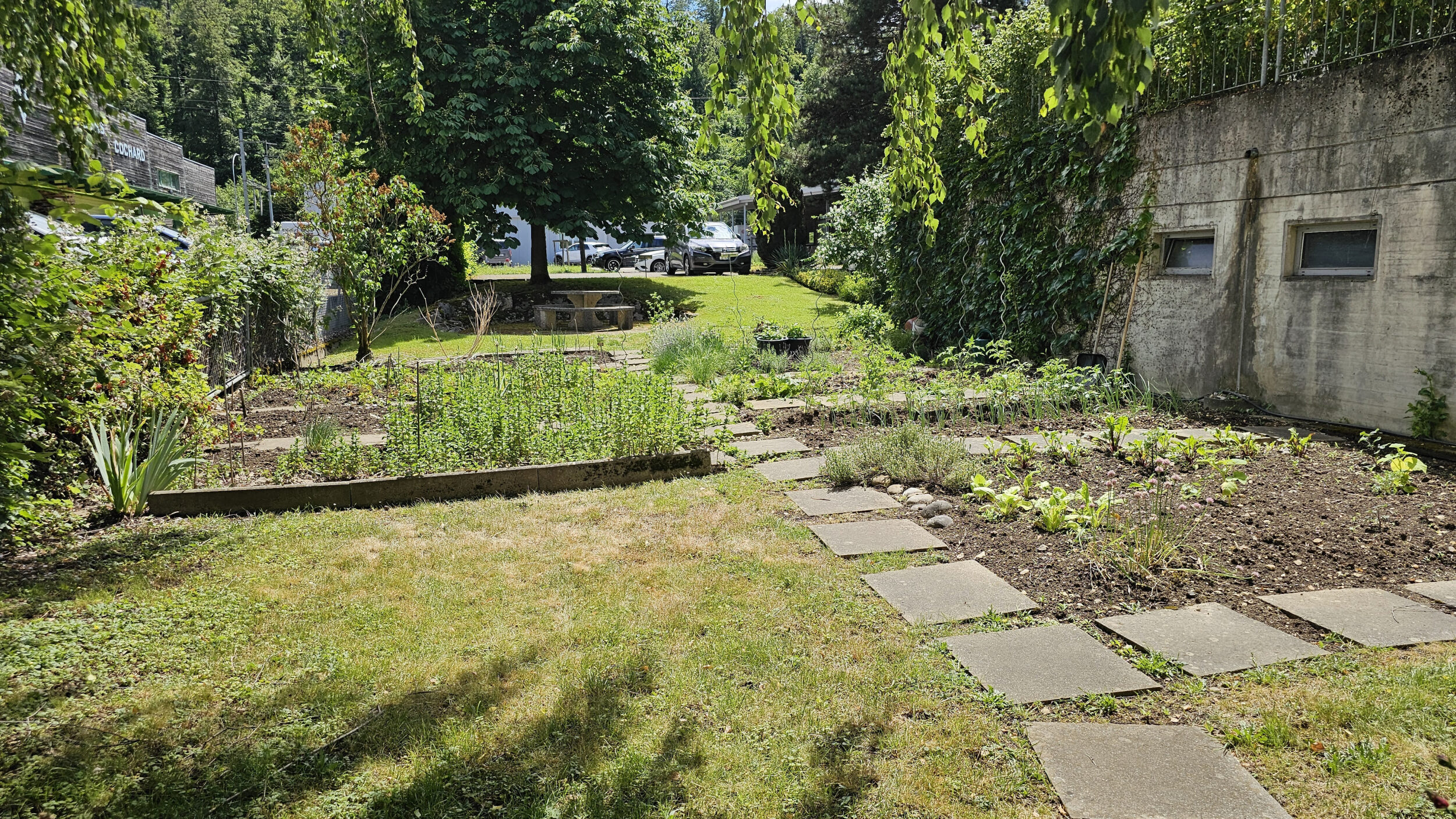 Picture 10