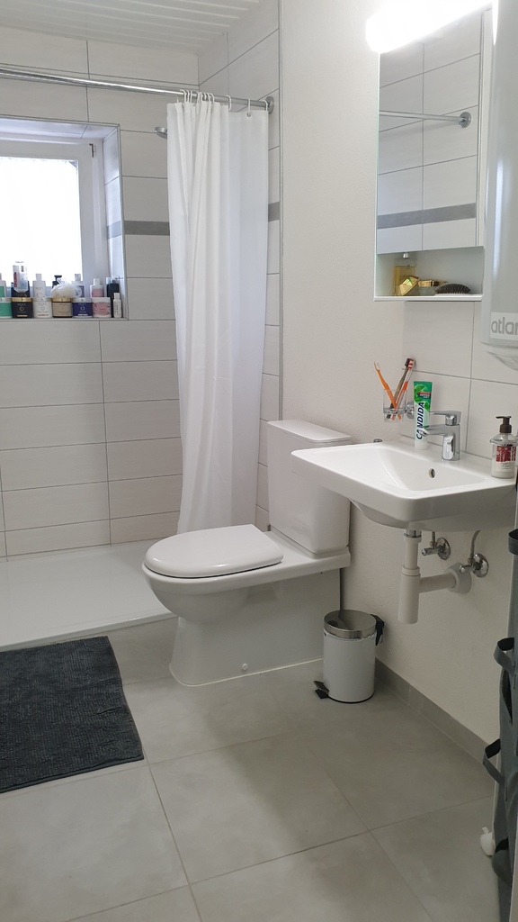 salle de bain équipée (radiateur, fenêtre, wc, douche et lavabo)