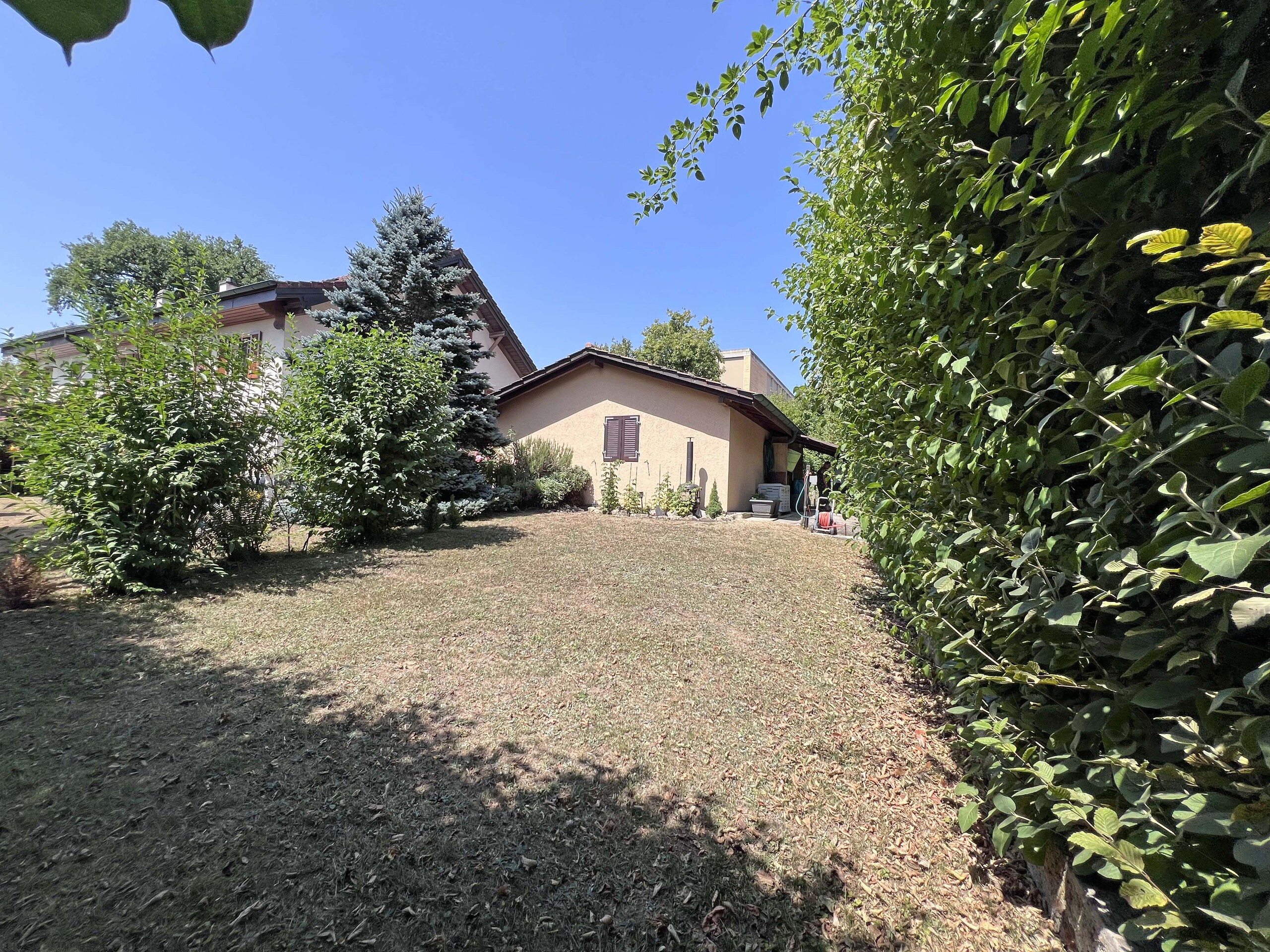 Jardin derrière garage