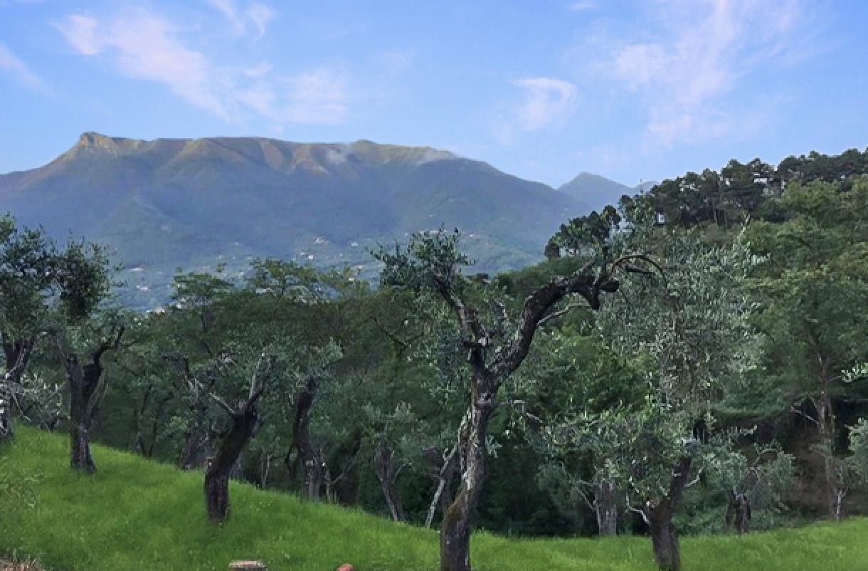 Aussicht auf die Umgebung Aussicht auf die Umgebung