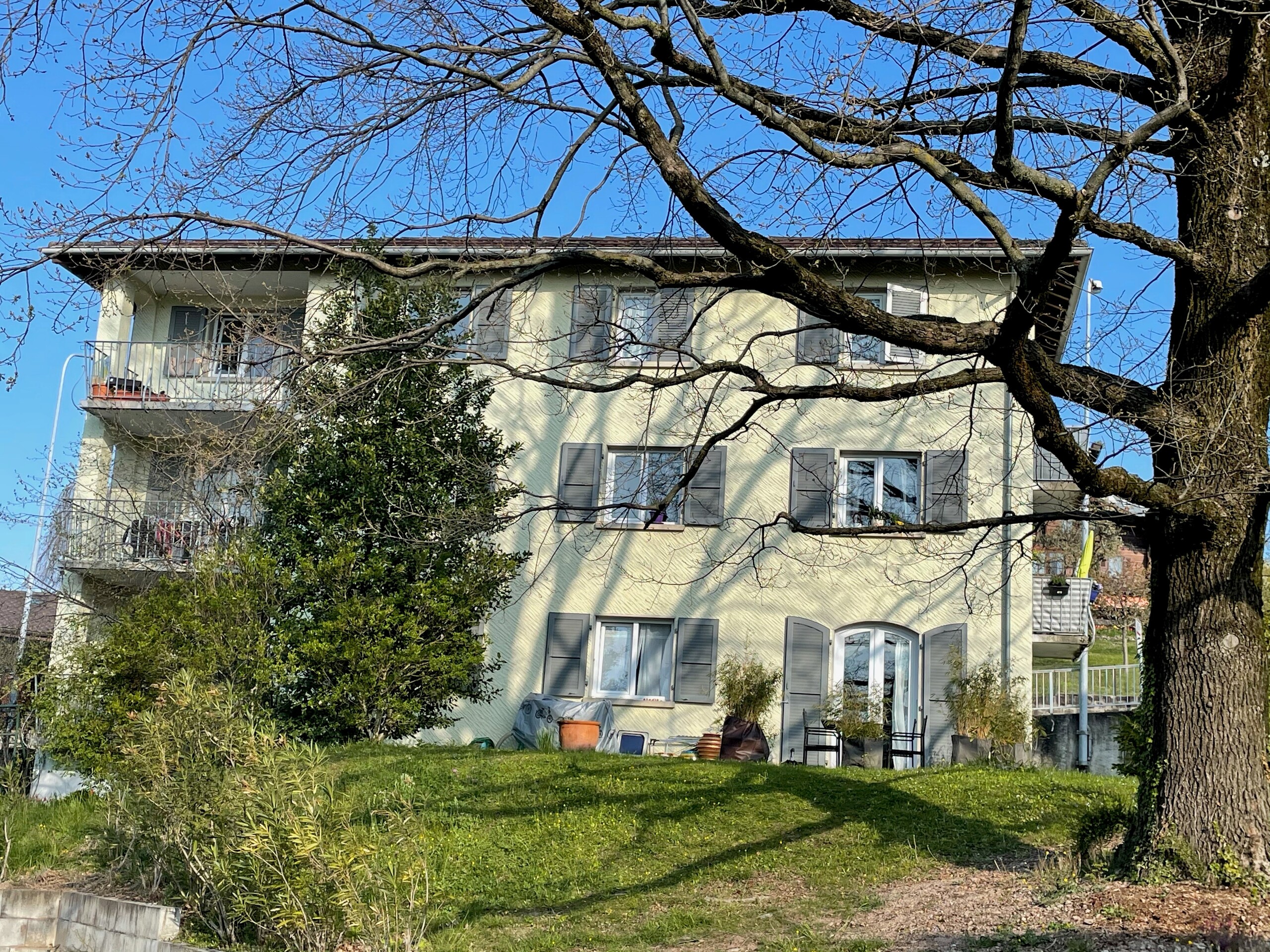 Firstview