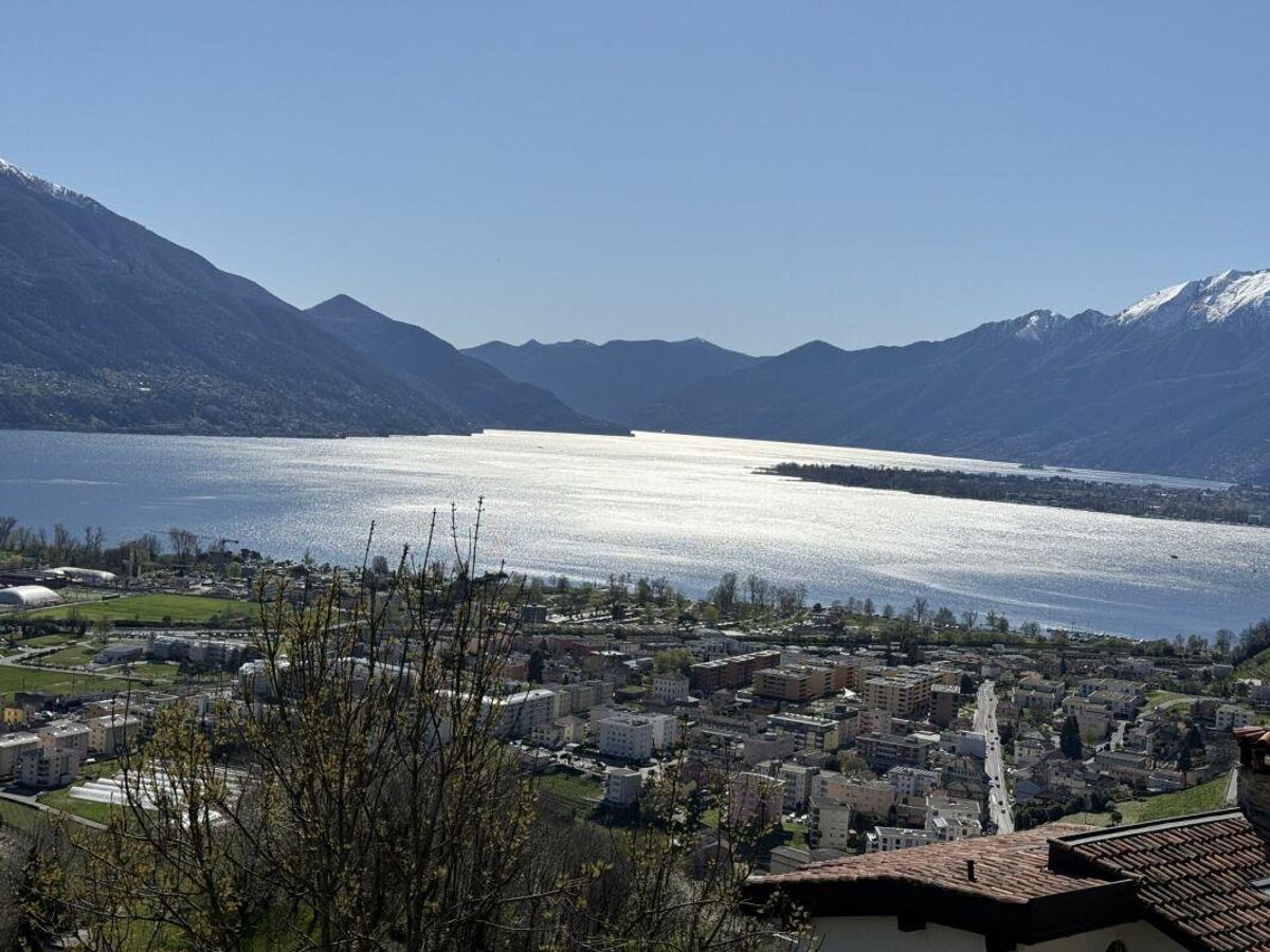 Immagine di copertina