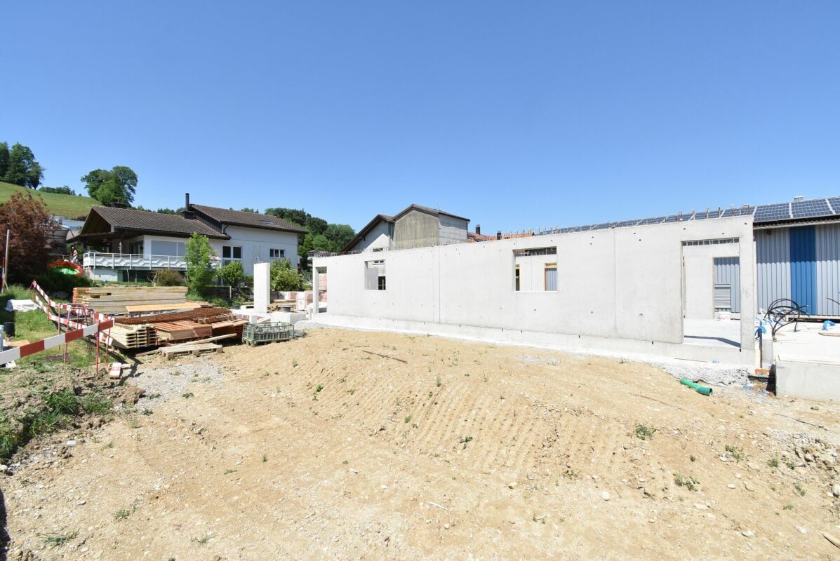 Photo 6